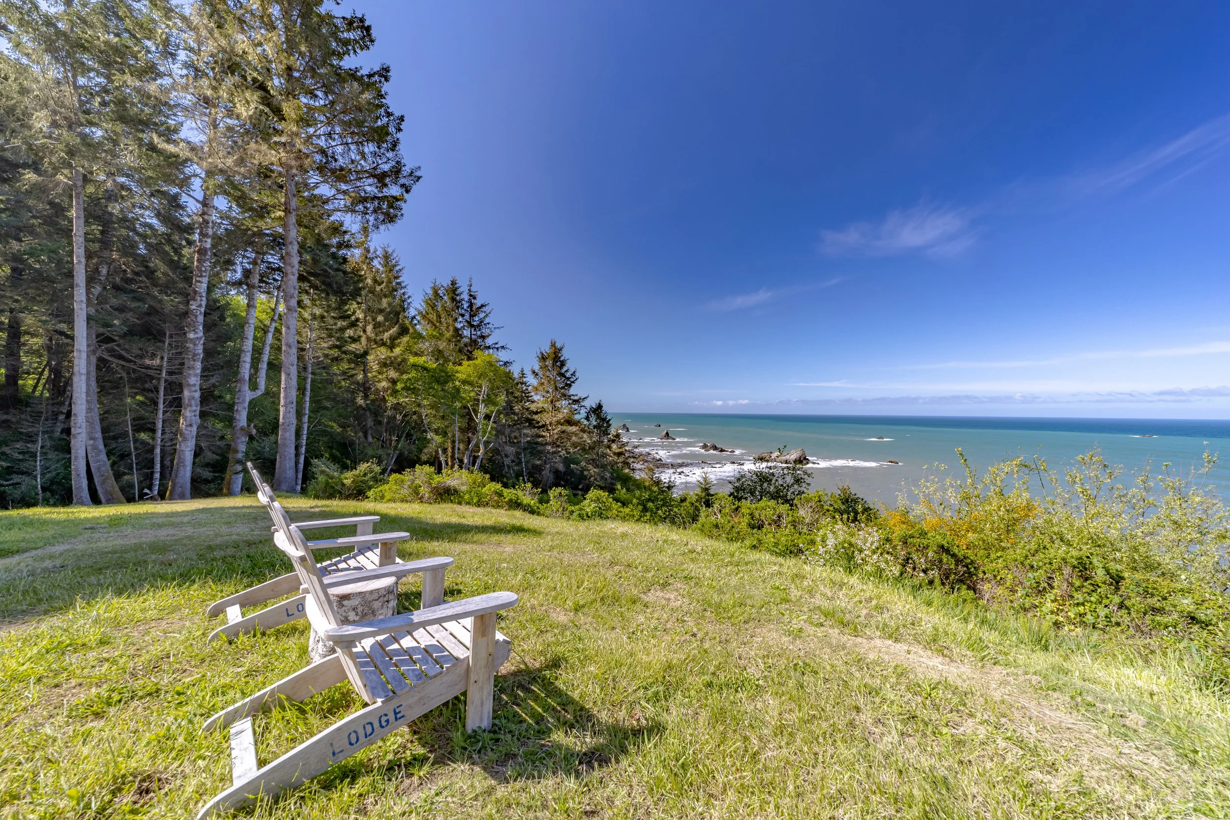 A grassy area with two wooden benches placed on the lawn near a forested cliffside overlooking the ocean with rocks in the water and a blue sky.