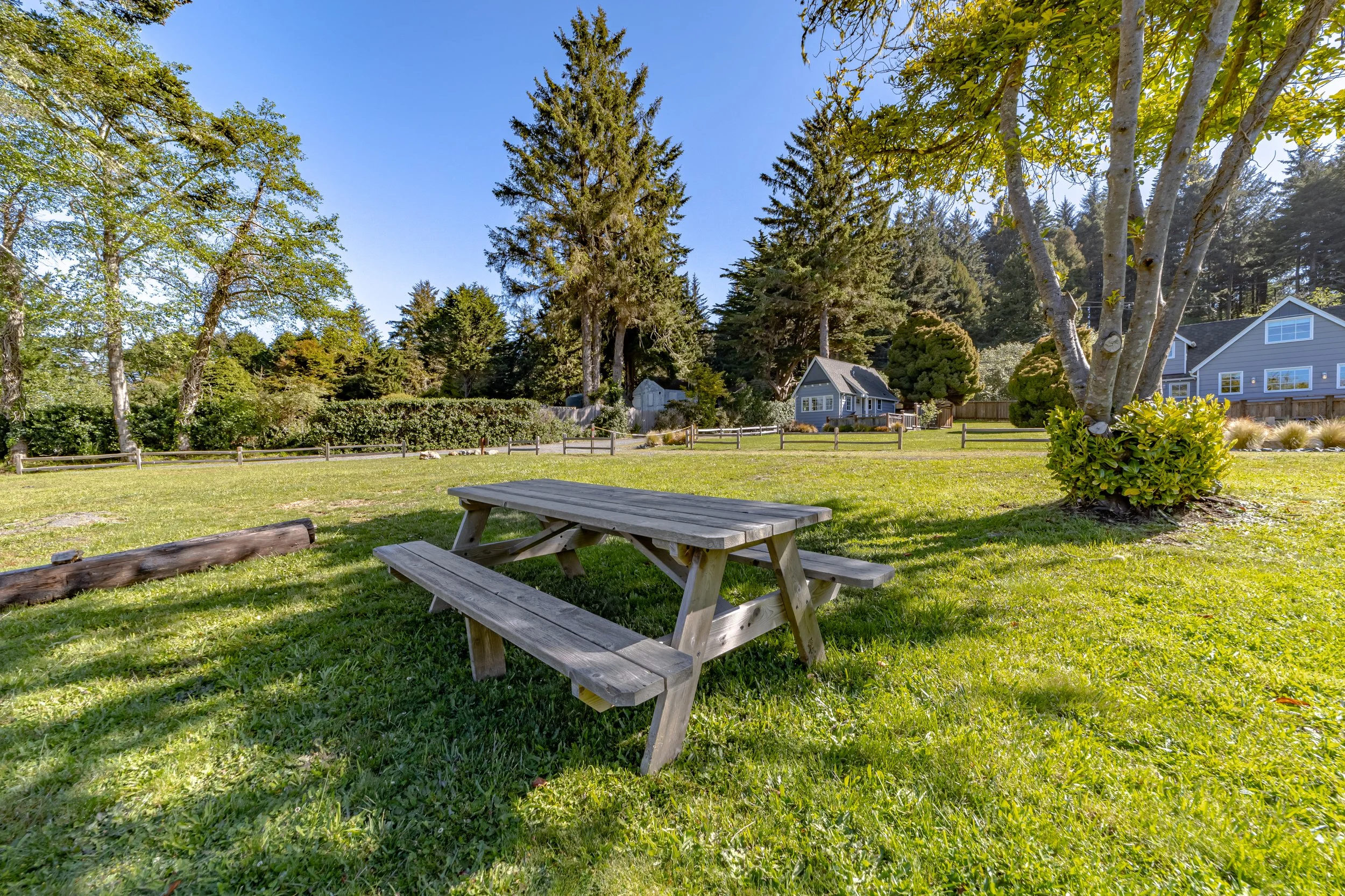 A wooden picnic table on a grassy lawn surrounded by trees, with houses in the background under a clear blue sky.