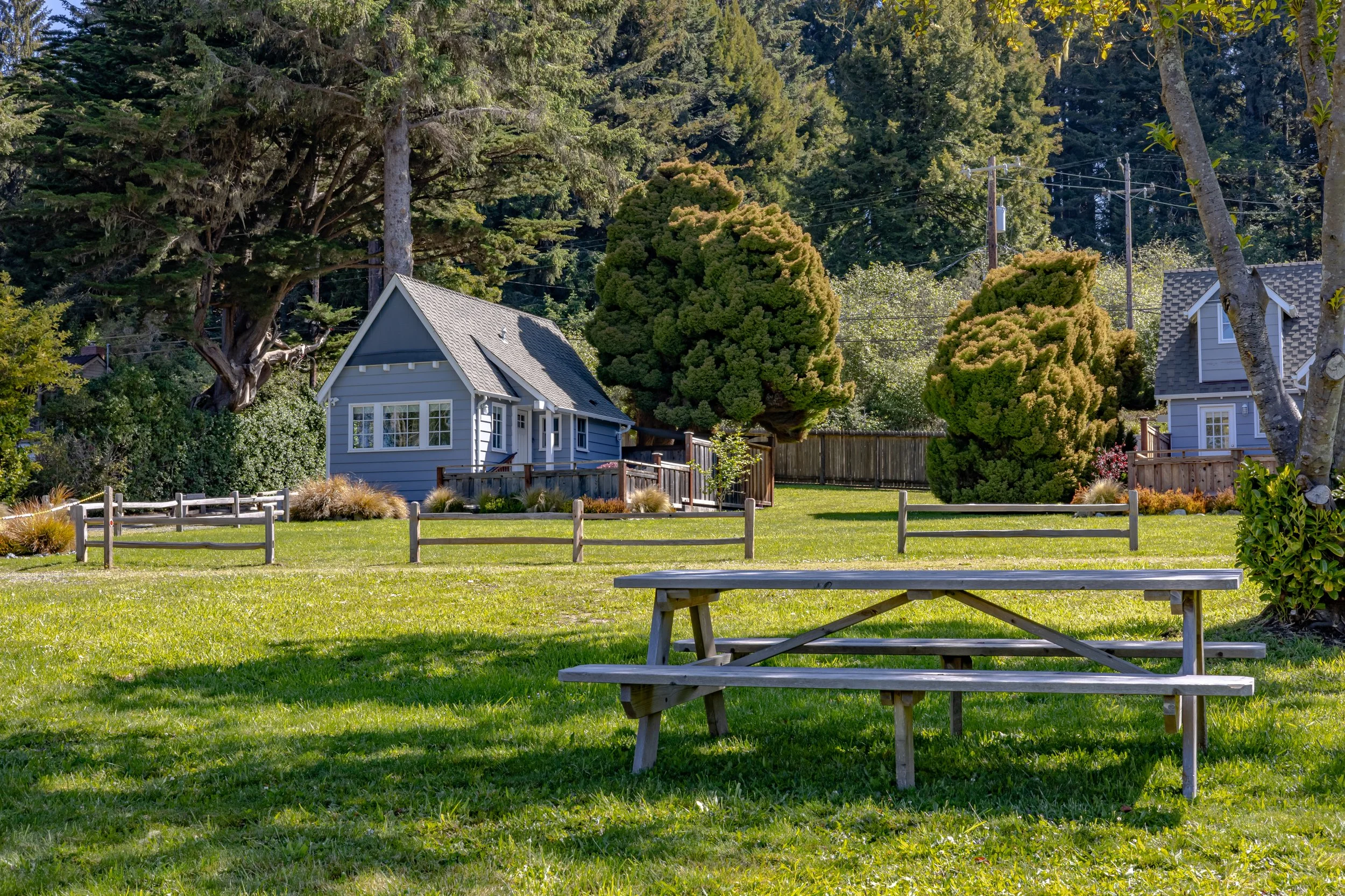A grassy park area with a picnic table in the foreground. In the background, there are small houses, trees, and a wooden fence under a clear sky.