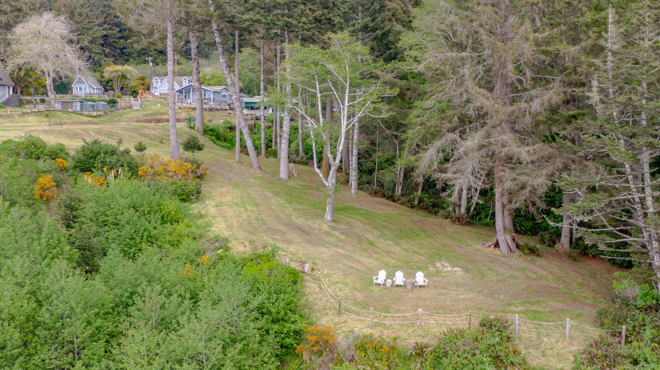 A hillside with four white Adirondack chairs arranged in a semi-circle facing the trees, surrounded by greenery and tall trees, with a row of houses in the background.