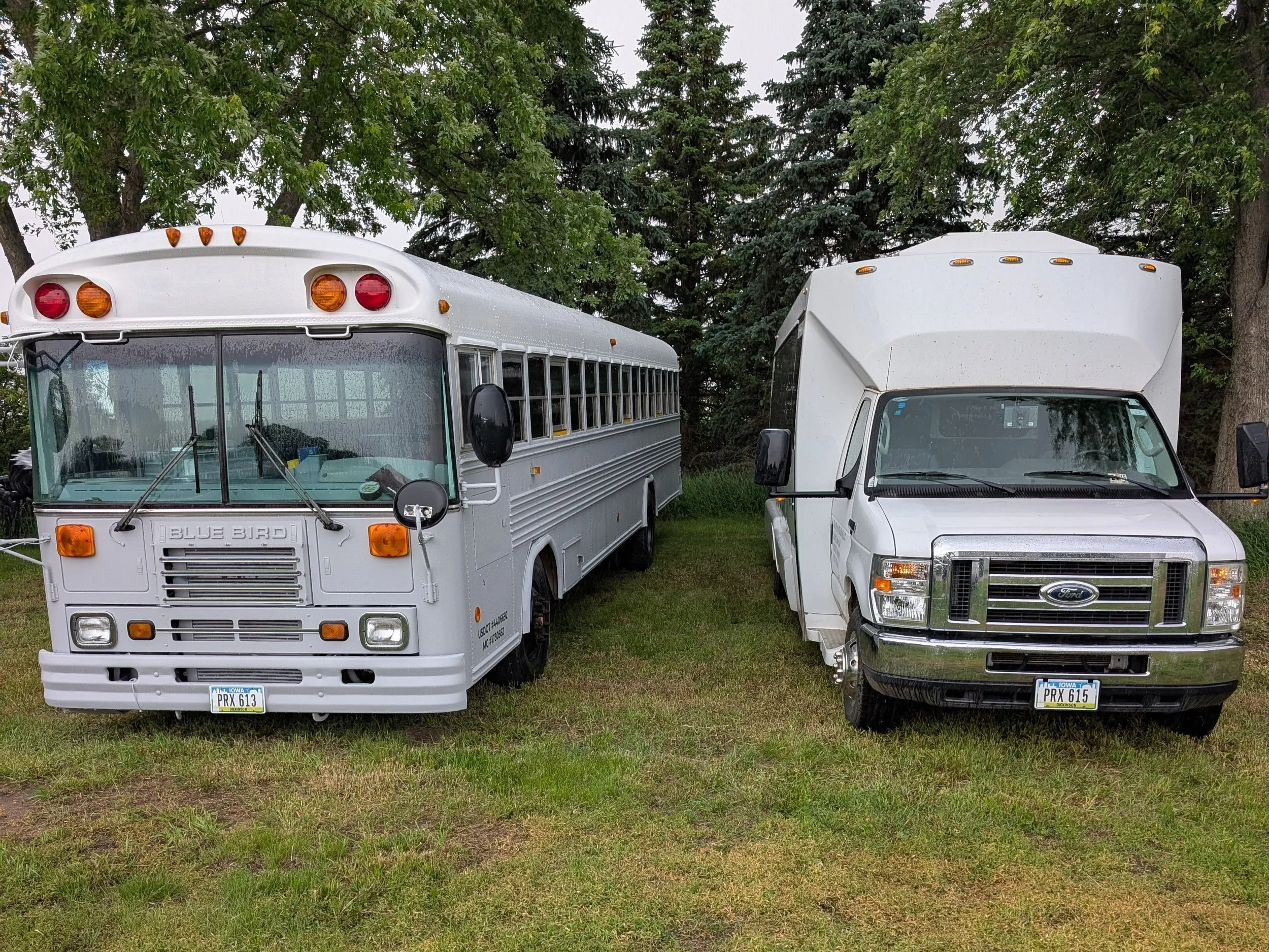 front of both the white limo bus and the grey party bus