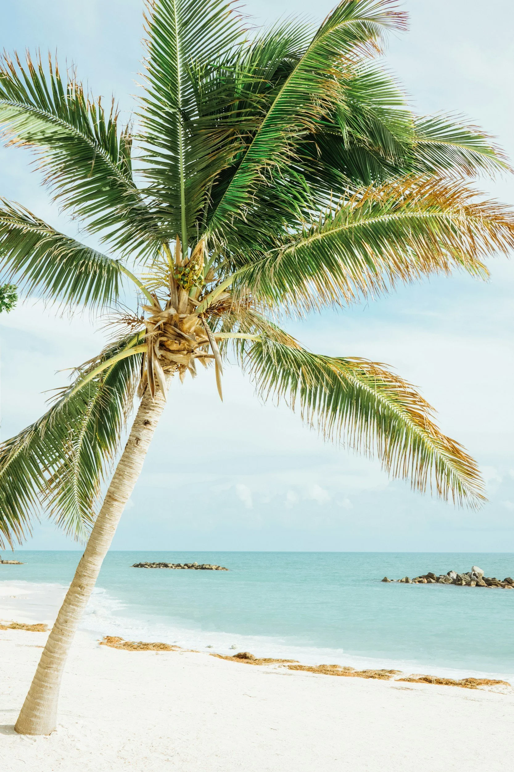 A tropical beach scene with a leaning palm tree with green fronds, white sandy shore, calm turquoise water, and small rocky islands in the background under a partly cloudy sky.