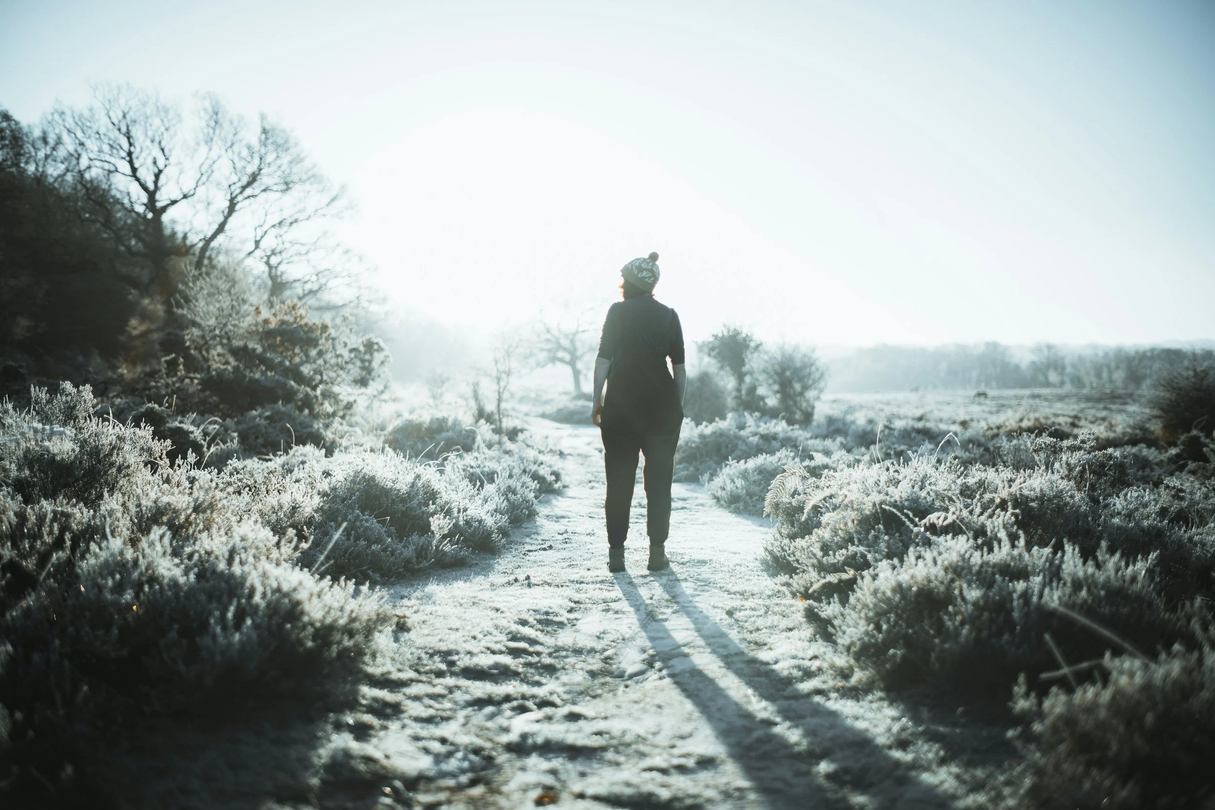                            Winter Immunity 