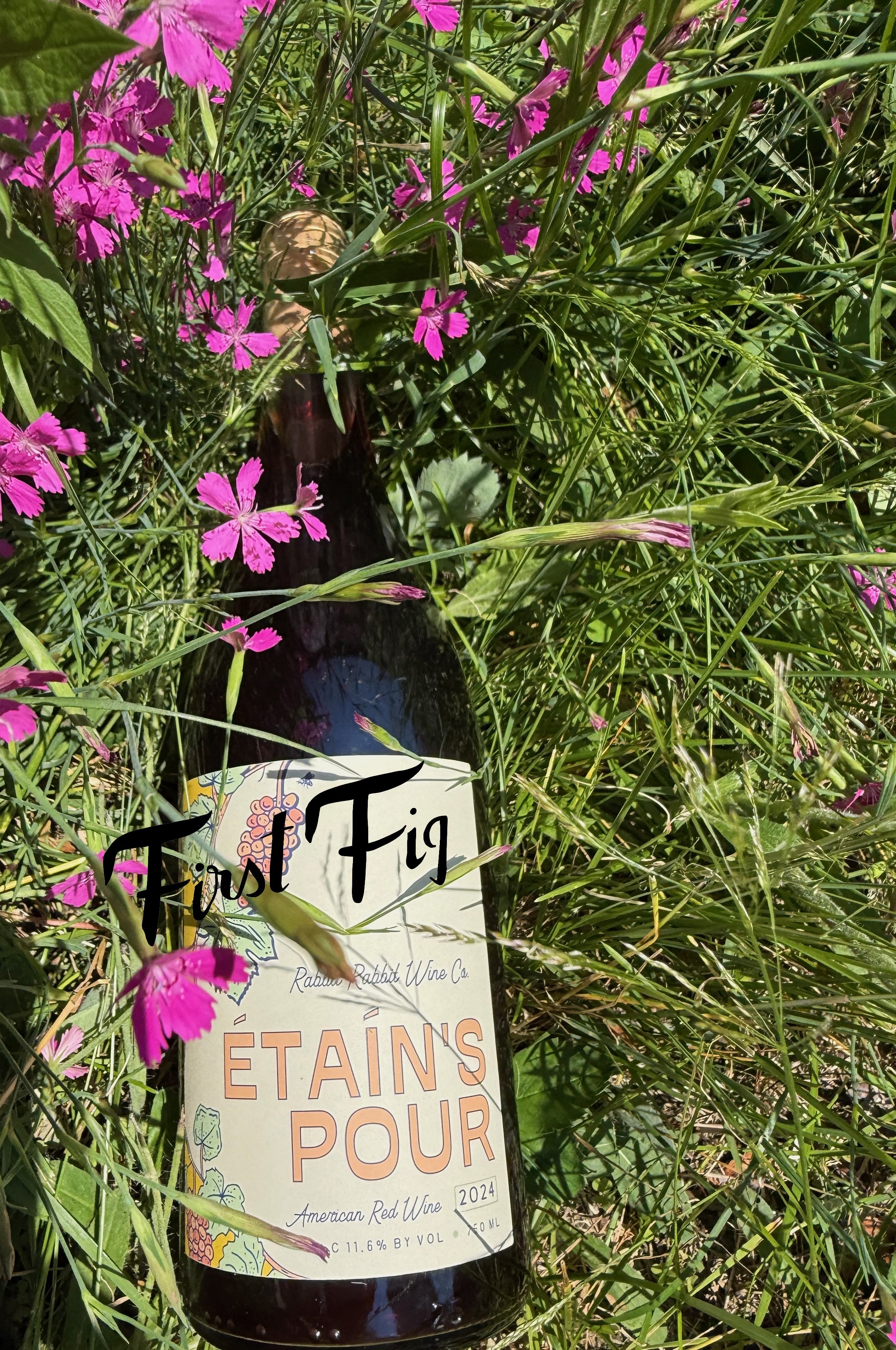 First Fig, Camden