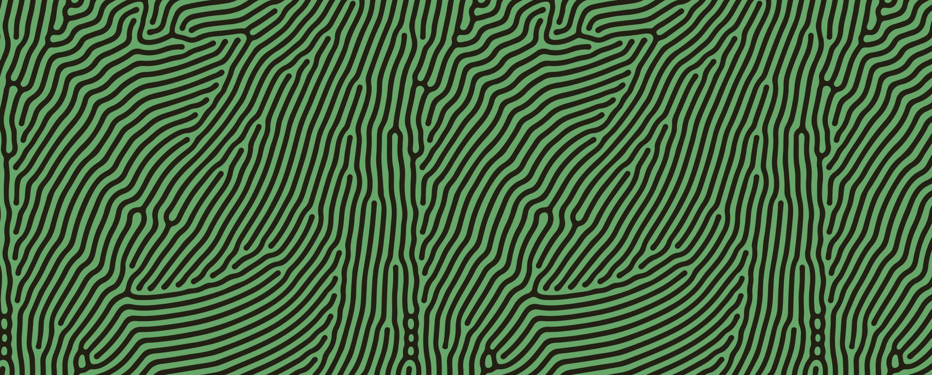 Fingerprint pattern over green background