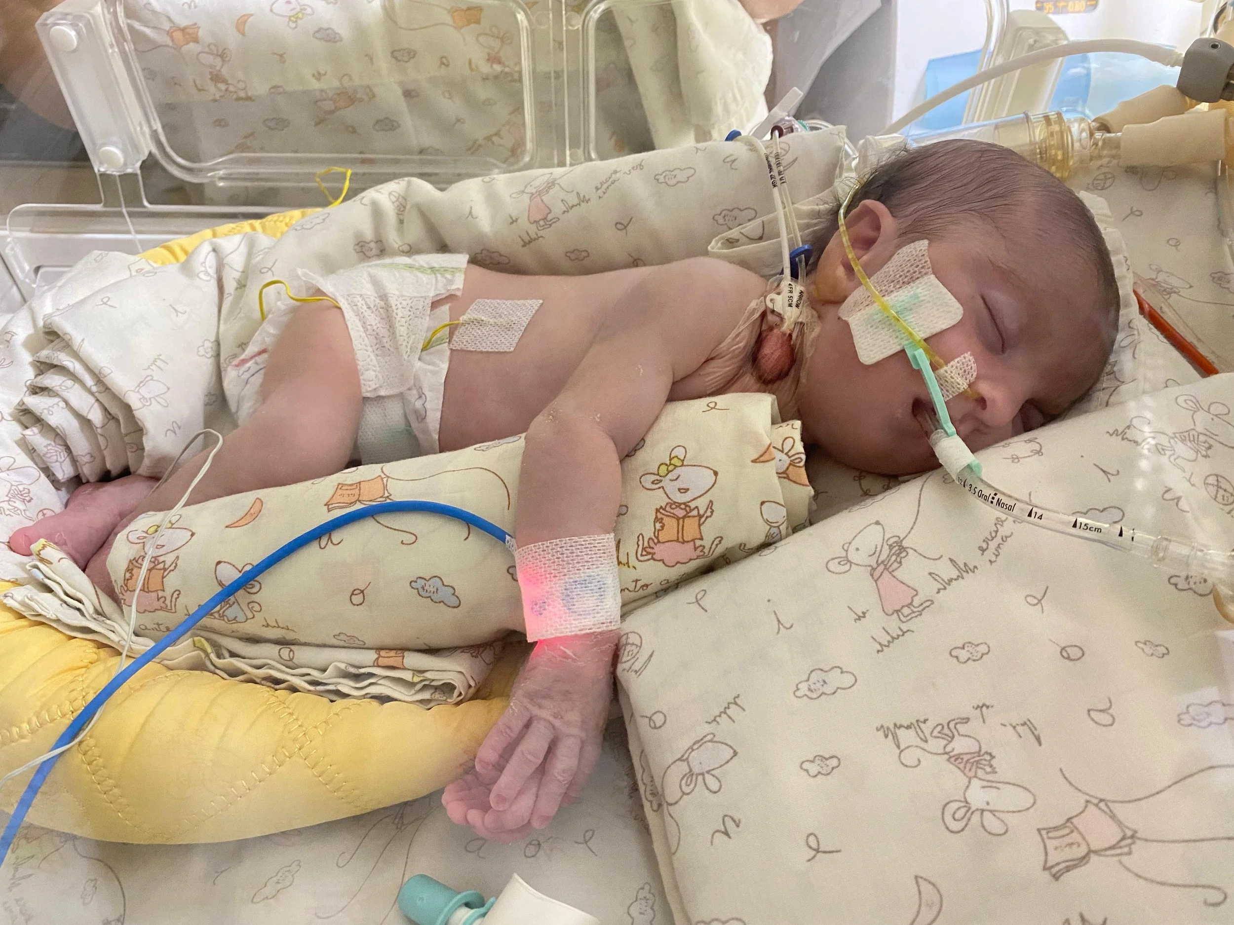 758a1dfc-8fb2-4ec5-b7cd-7bbc0a9d56df 2.JPG