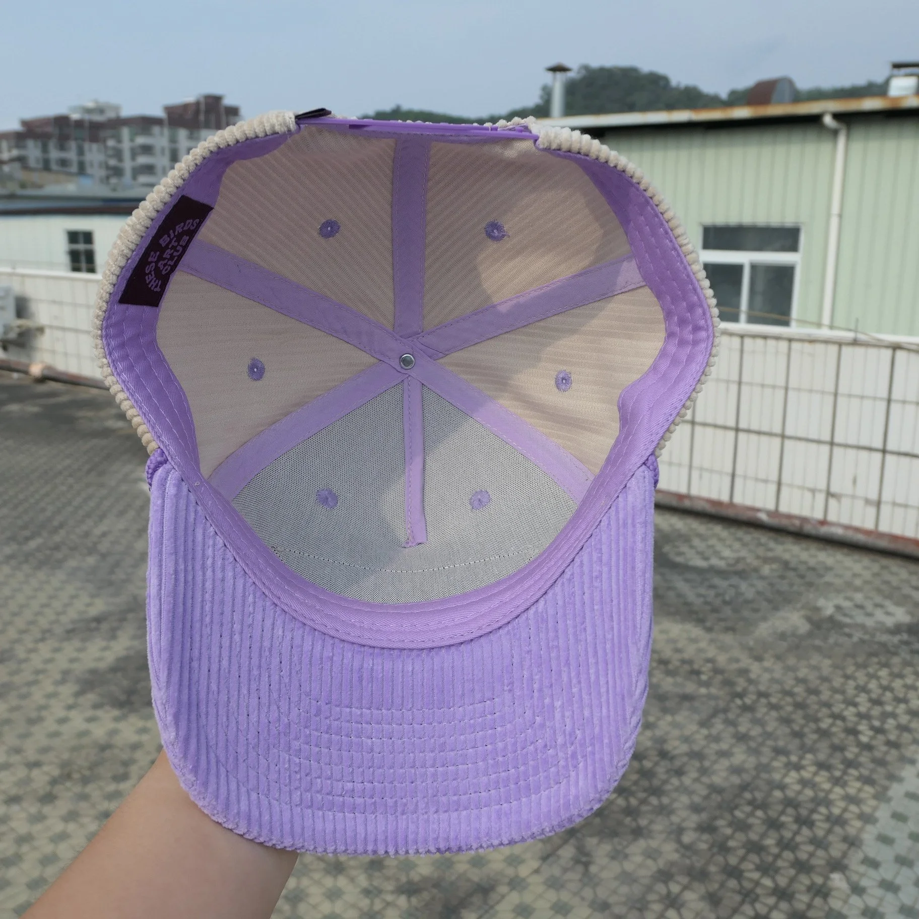 P1250521.jpeg