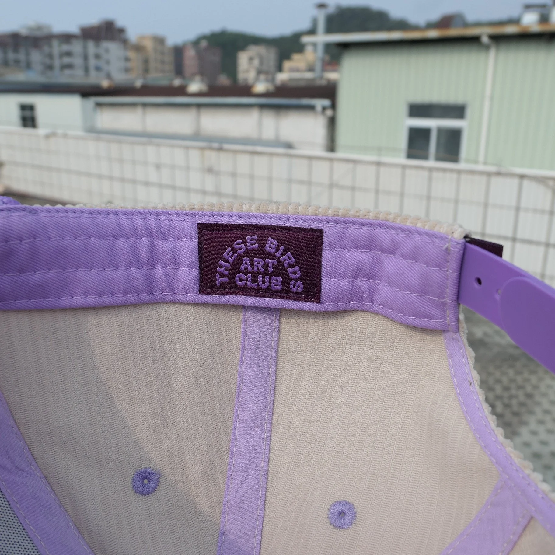 P1250523.jpeg