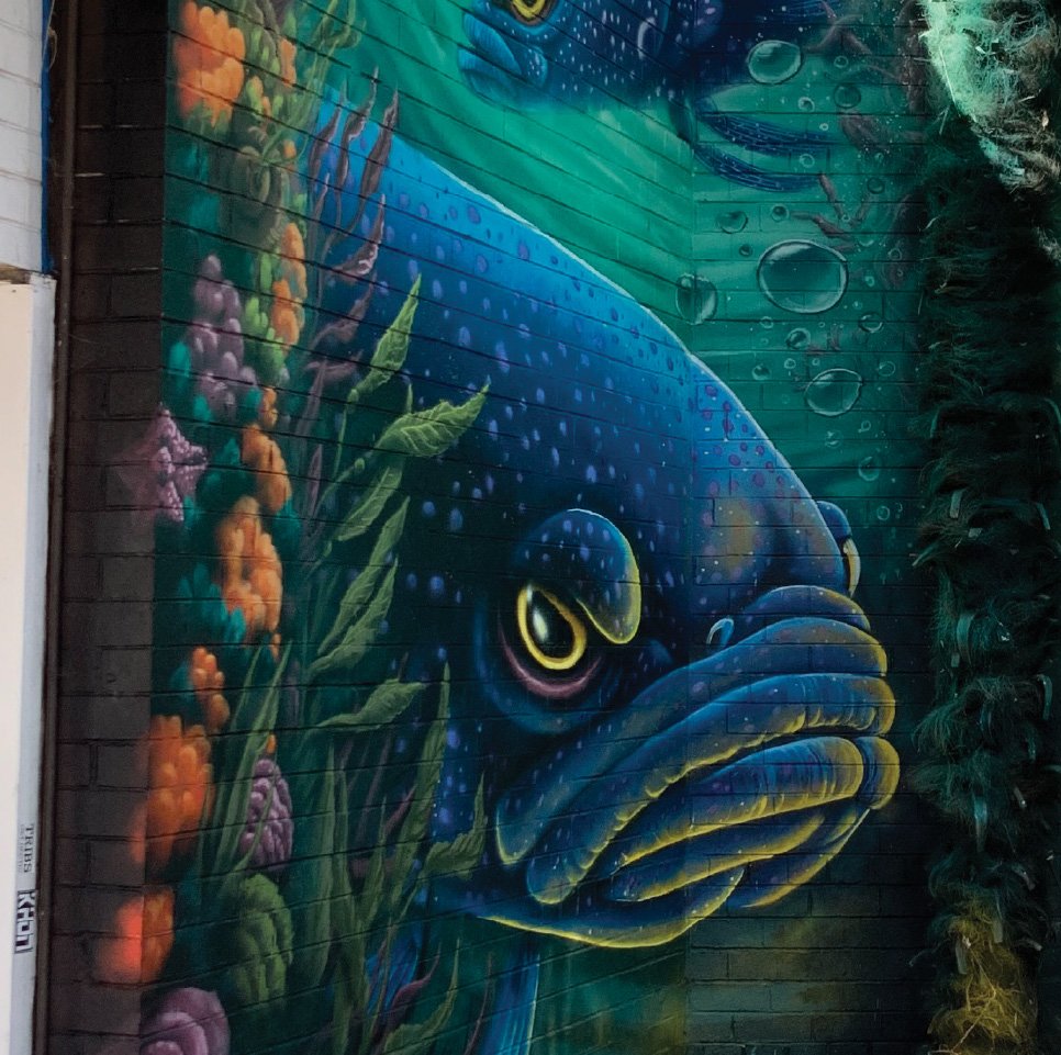 Deep Blue Devils - Mornington Peninsula Shire Council | Anti-Graffiti Mural Project (2021)