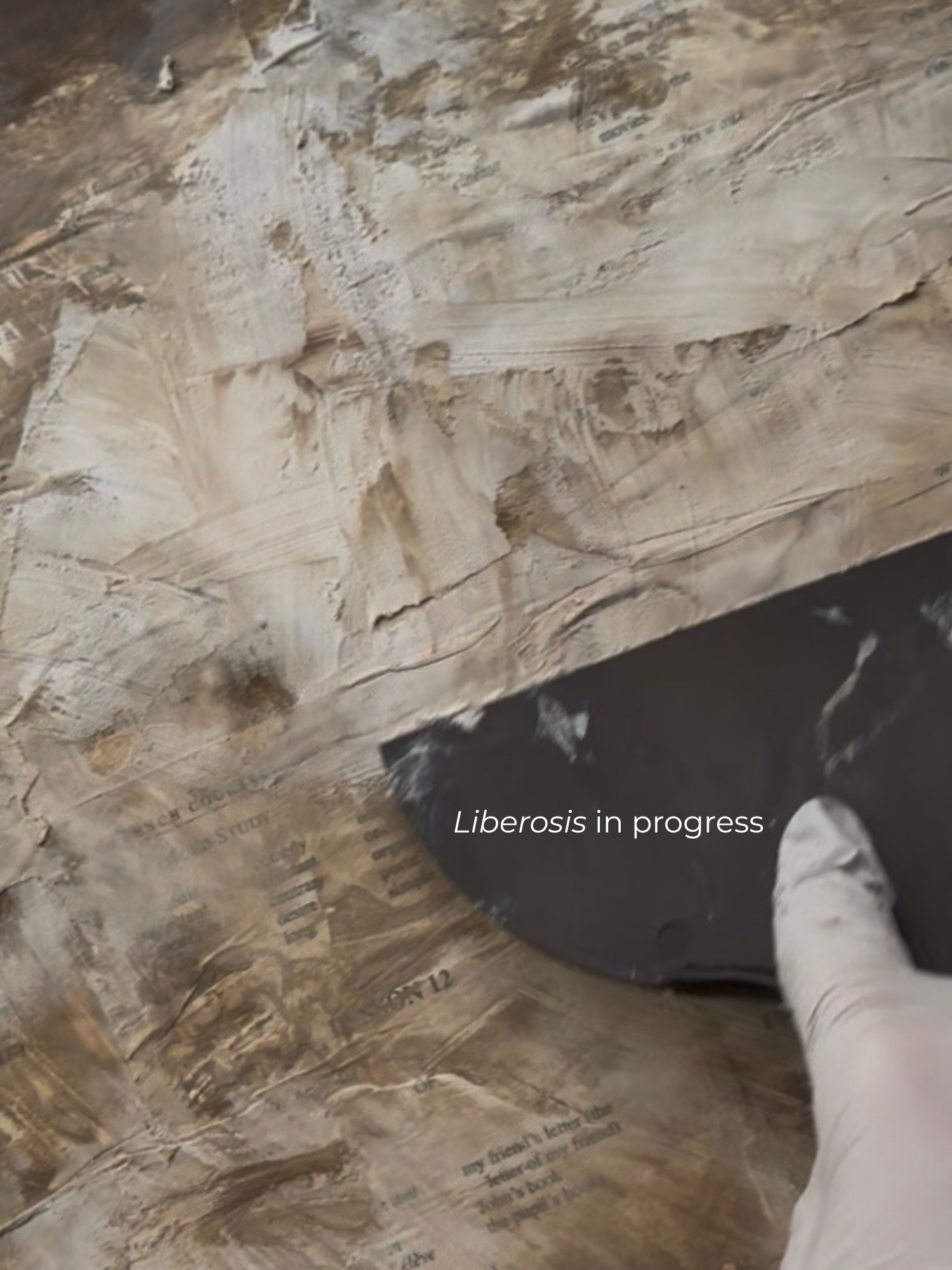 liberosis process 1.png