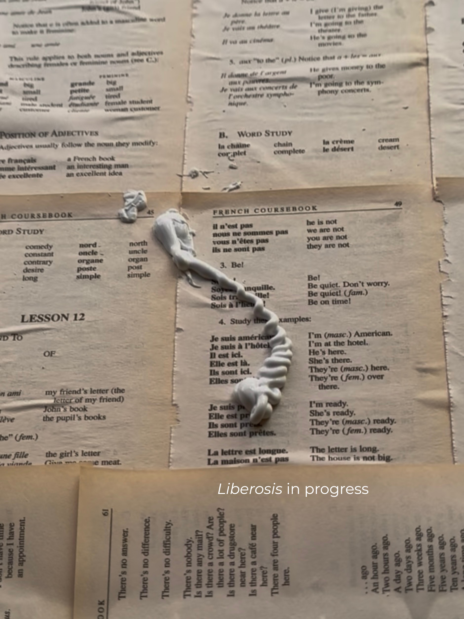 liberosis process 2.png