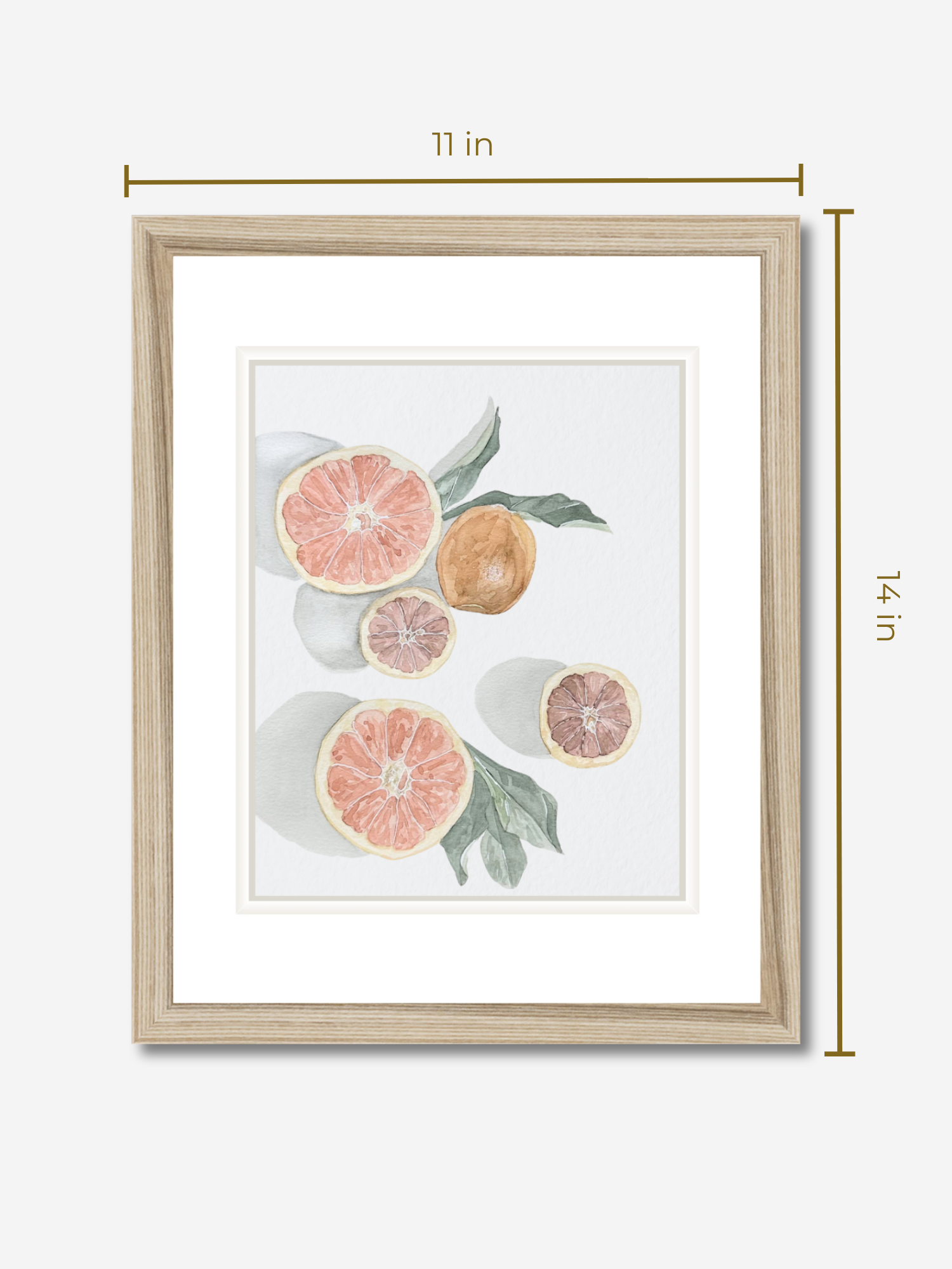 grapefruits measurements.png