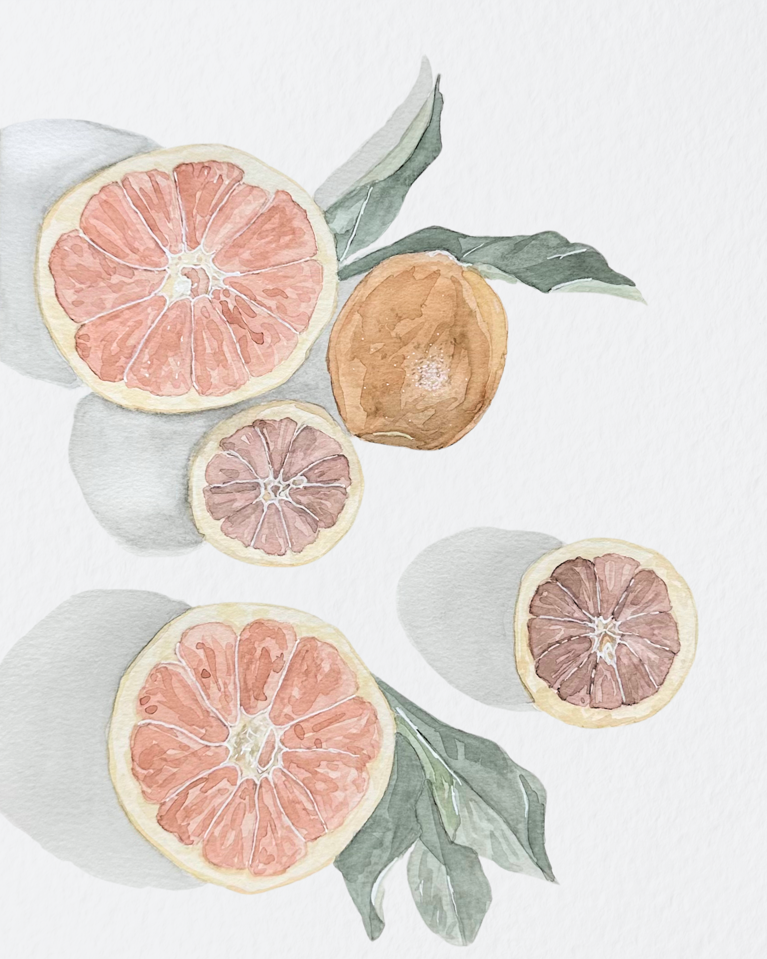 'Grapefruits, etc' | 8x10, Watercolor on Paper