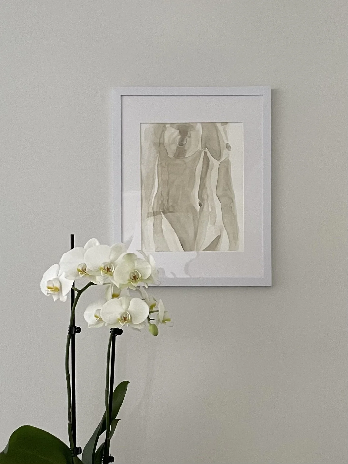 euphoria staged old.jpg