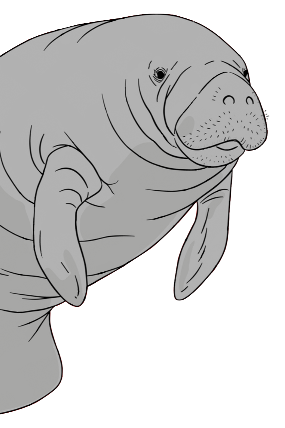 LoveJohnPaul.org Fundraiser