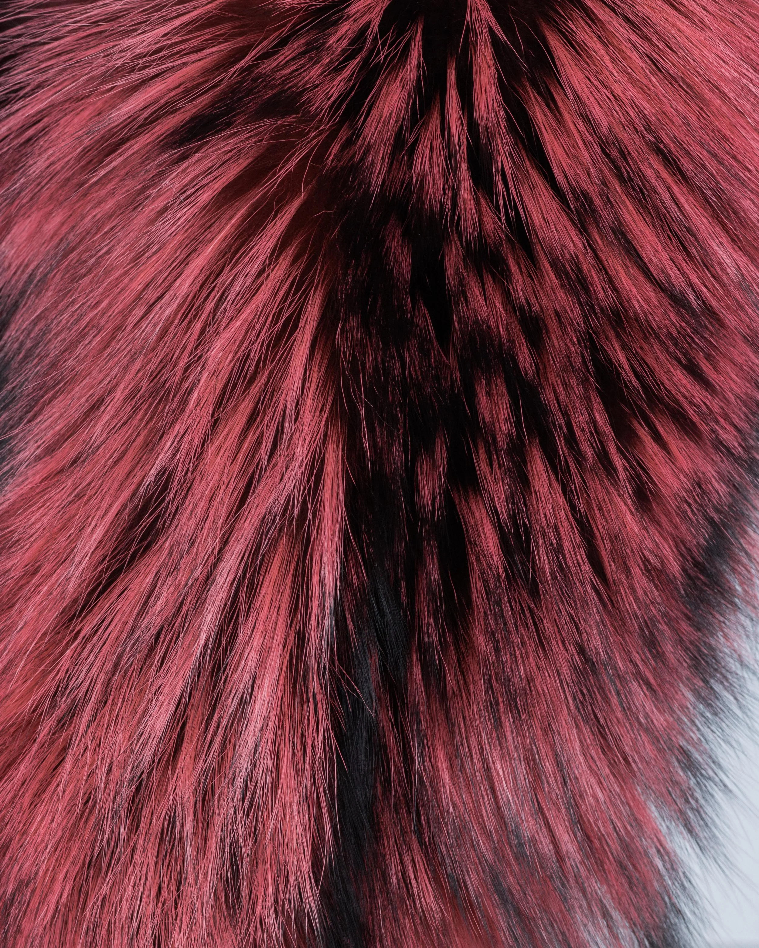 RedFurUpClose.JPG