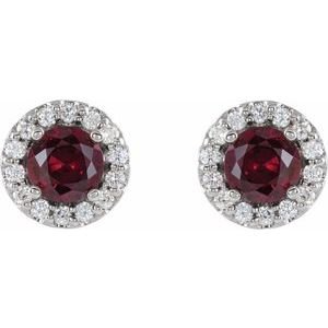 53657954