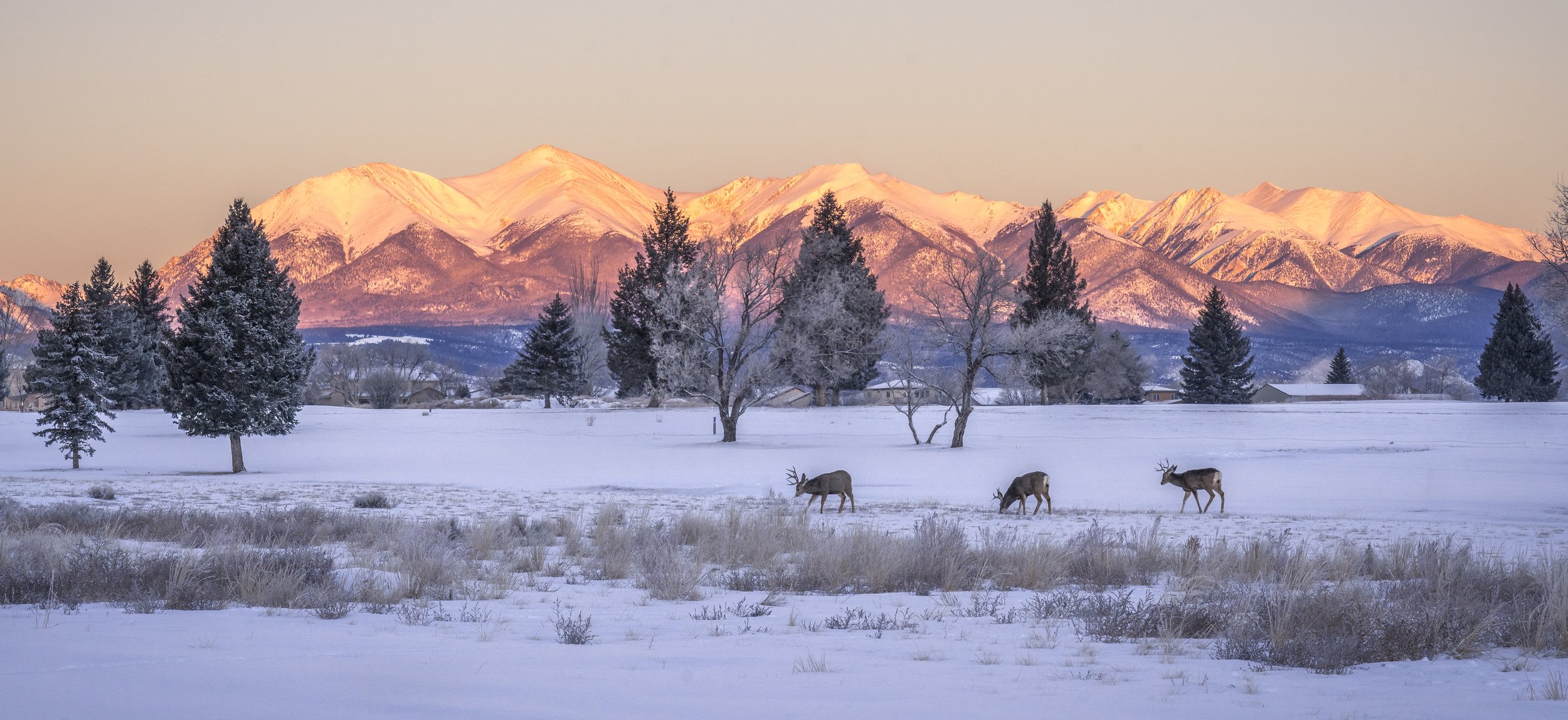 Salida SunriseWEB-6486.jpg