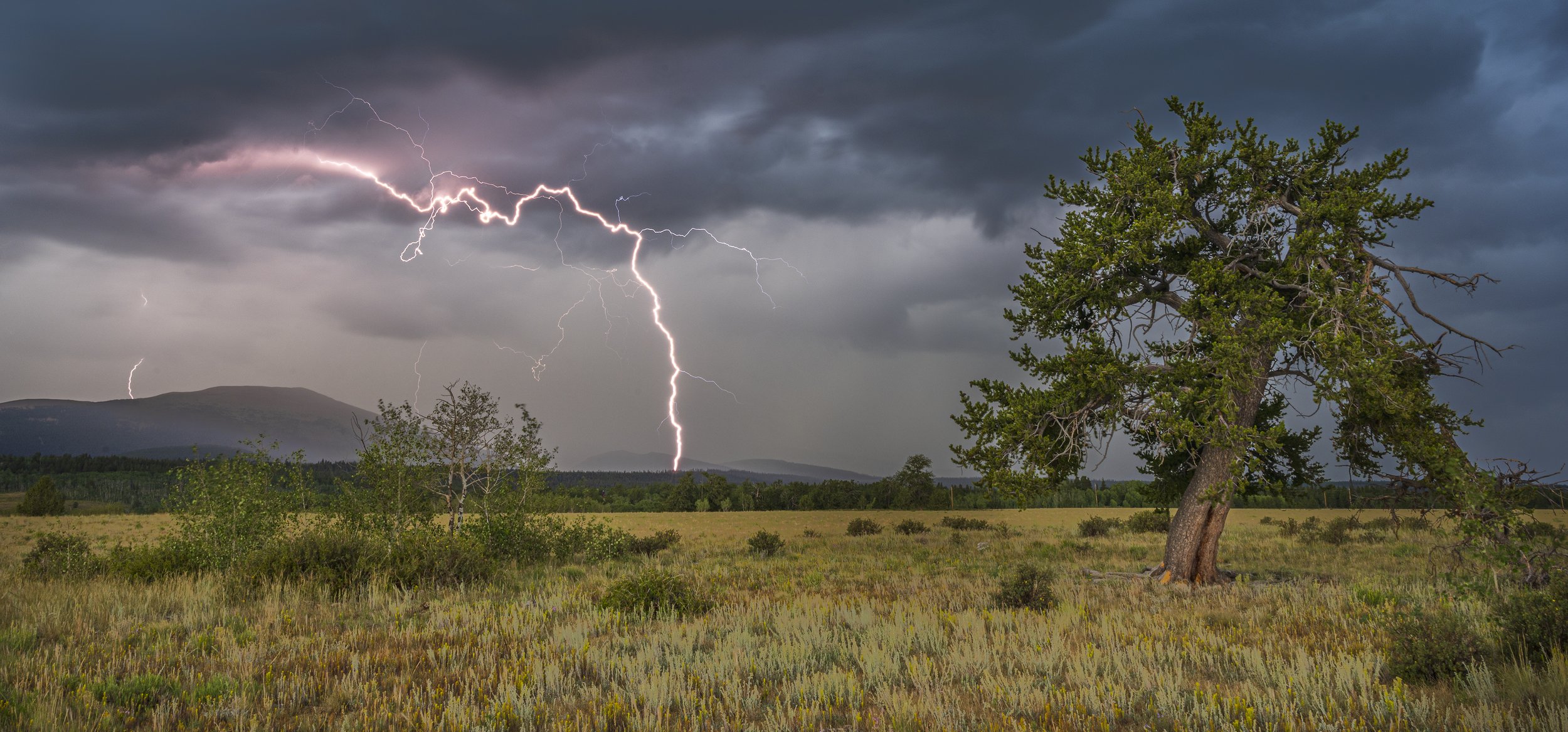 lightingWEB-2341.jpg