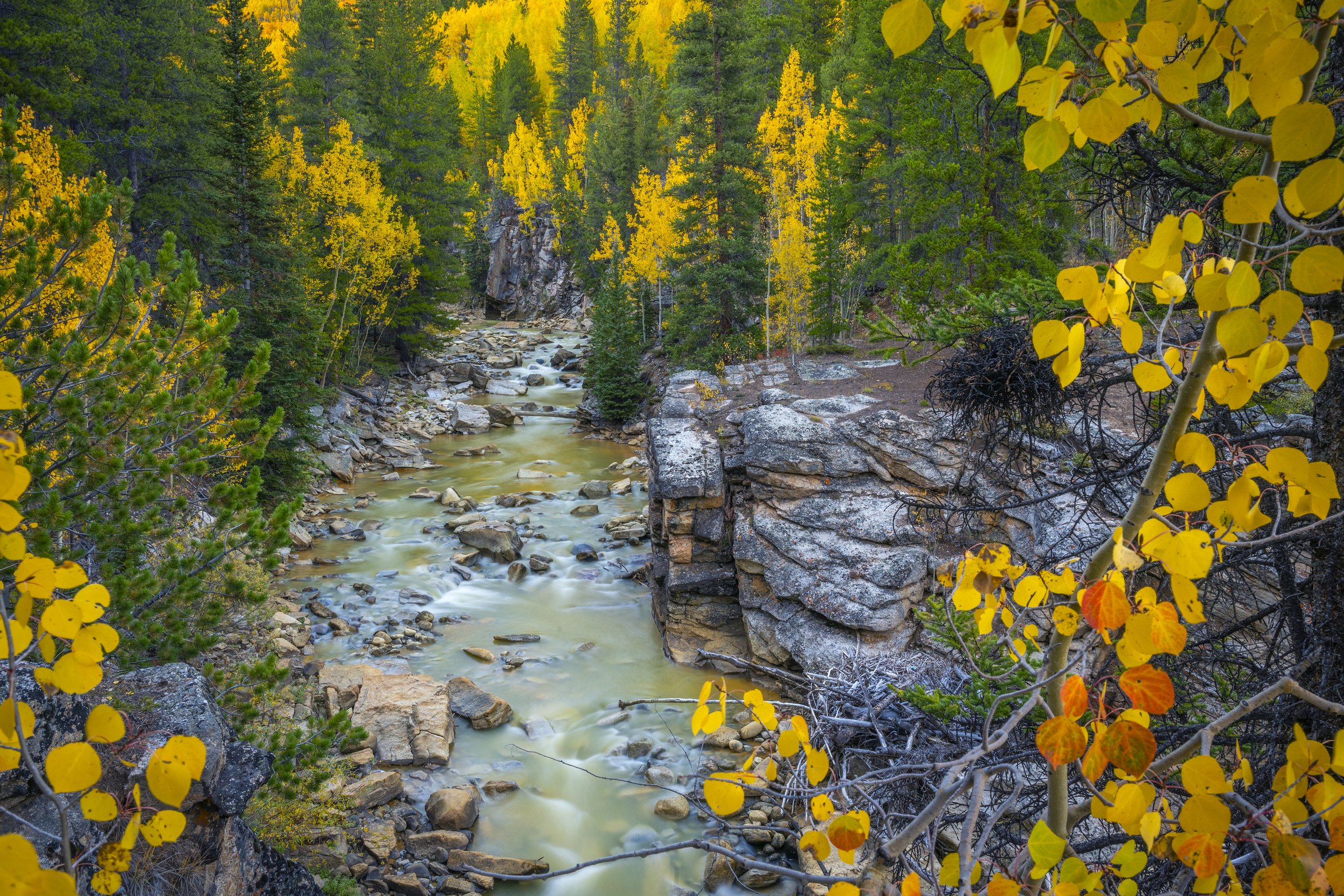Fall ColorsWEB-3255.jpg