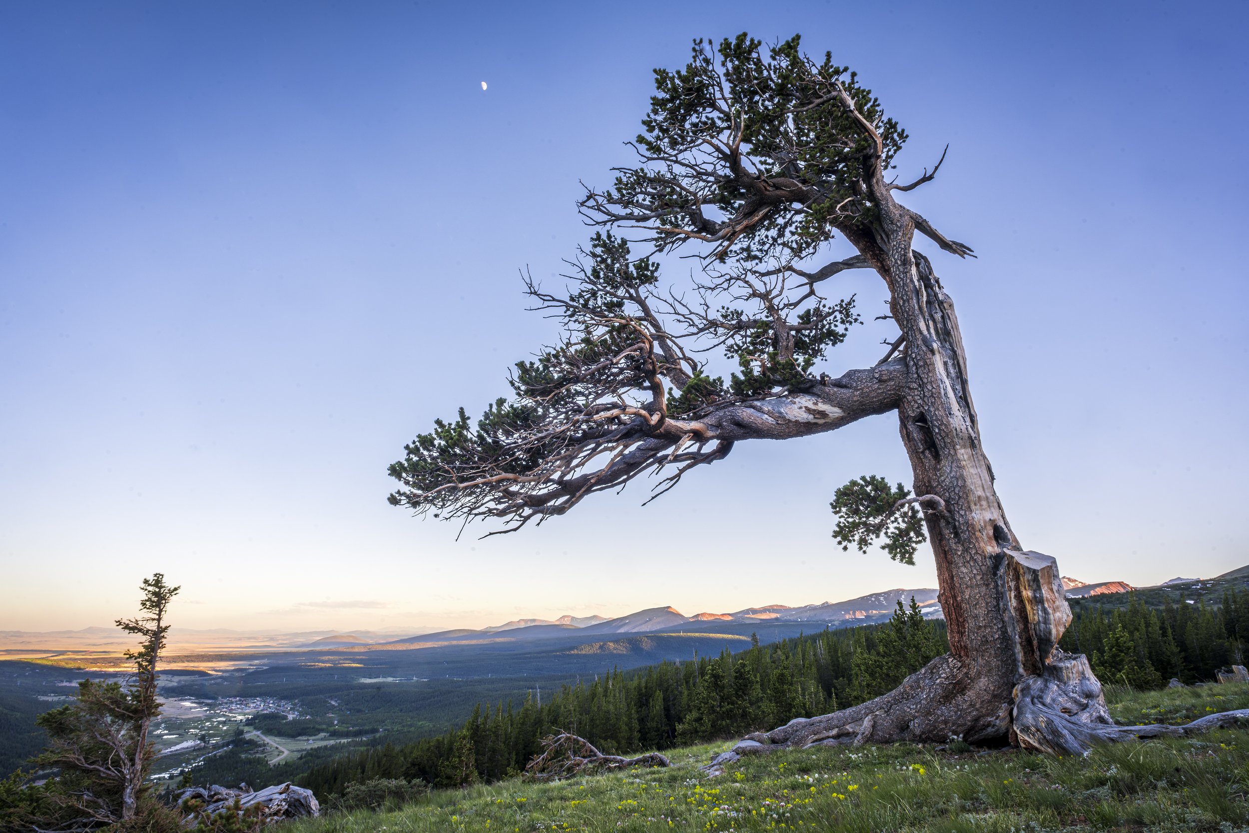 Windy RidgeWEB-9766.jpg