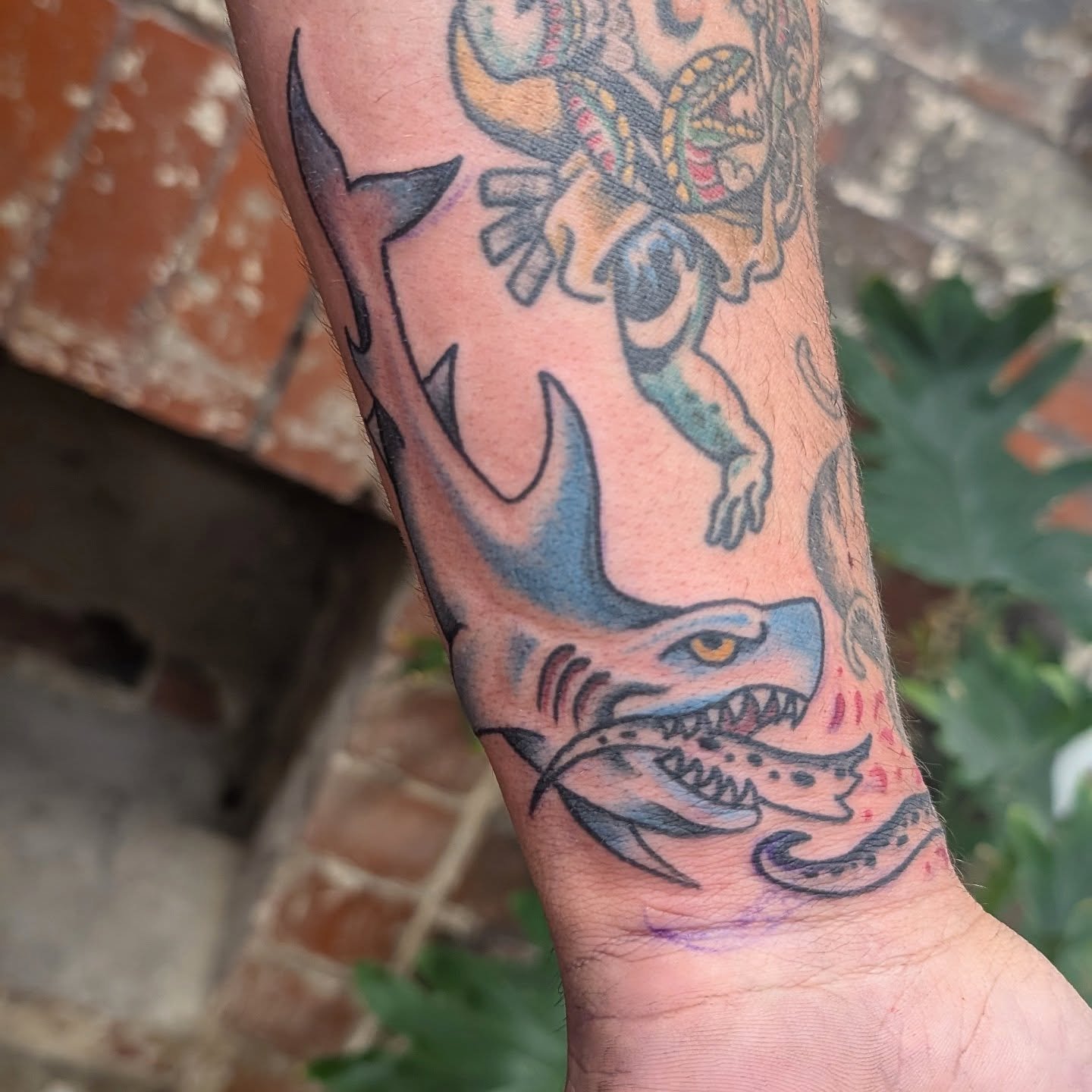 Shark gapfiller to make sense of a six legged octopus for @alexchristo_ 

DM me to book 🦈

#tattoo #shark #octopus #traditionaltattoo #gapfiller