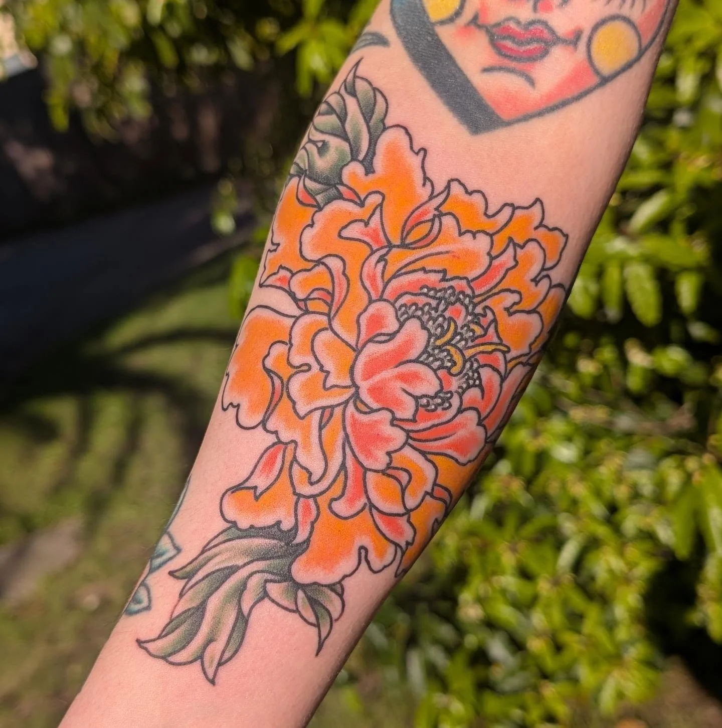 Flora &amp; fauna. The best perk of tattooing your partner is getting those fresh, day-after shots in natural light.

Wrinkles joined in for the photo shoot too- he might not be as agile as he used to be, but he still loves being right in the middle 