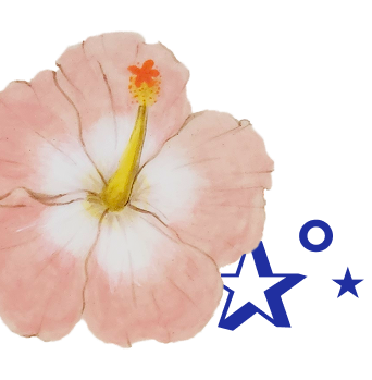 Close-up of a light pink hibiscus flower with prominent yellow stamen and red anther