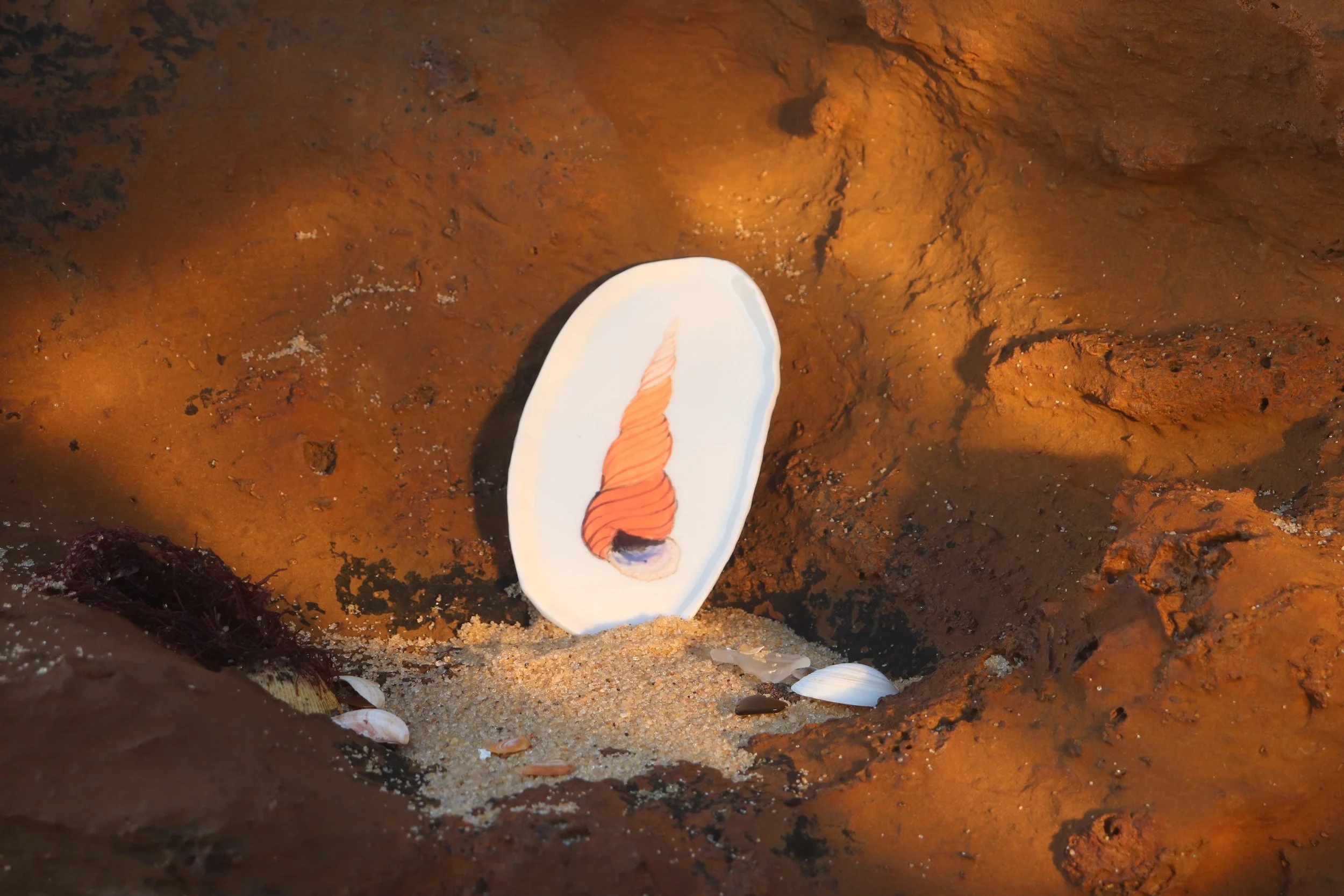 An outdoor scene showing a brightly painted seashell leaning against sandy ground, surrounded by rocks and smaller seashells.