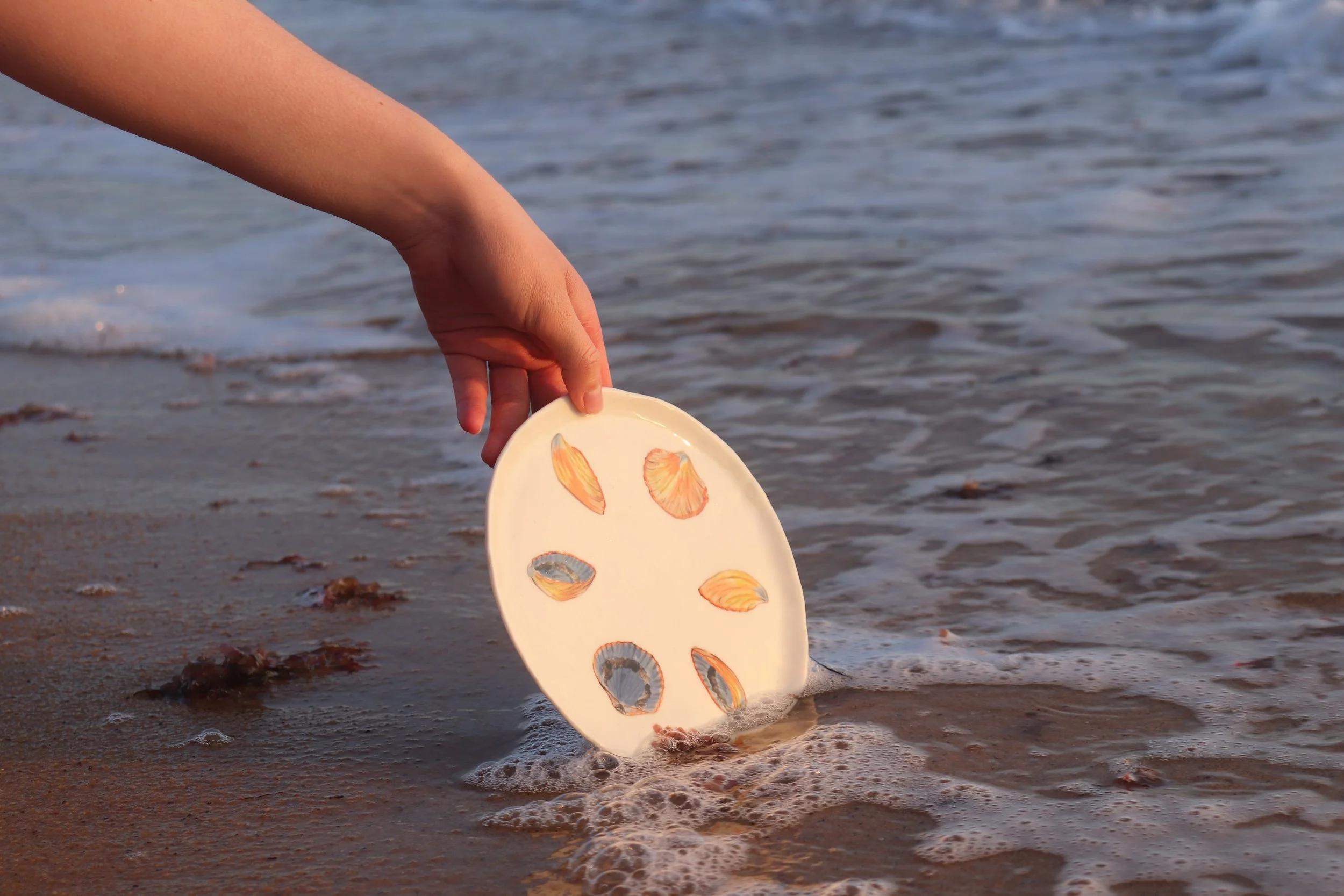 A person's hand placing a decorative plate with seashell designs into shallow ocean water at the beach.