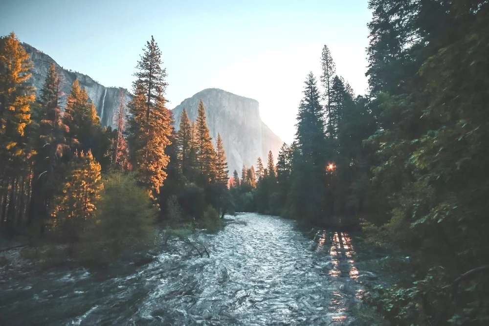 Nature photograph from Catalyst’s journey