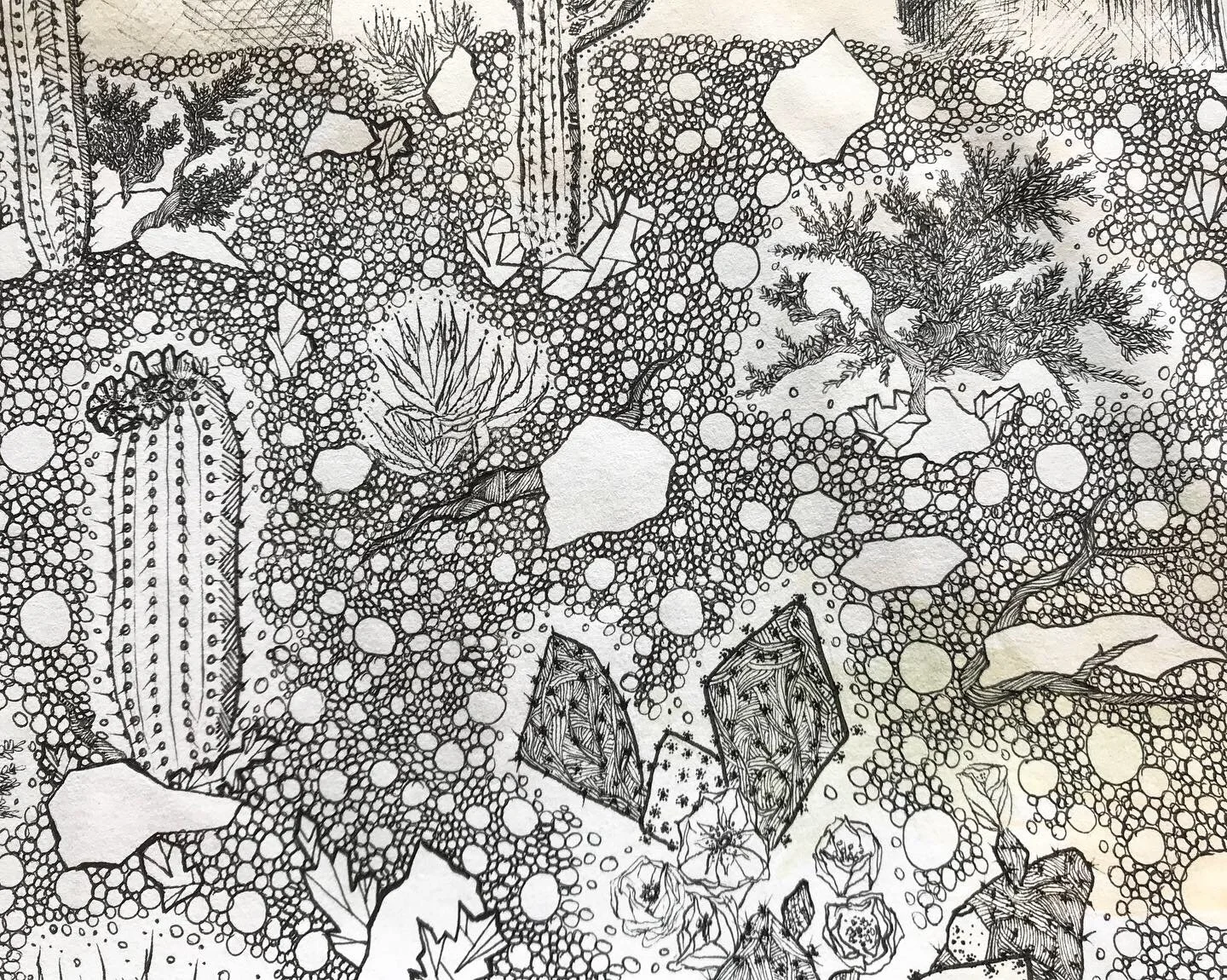 desert universe detail.JPEG