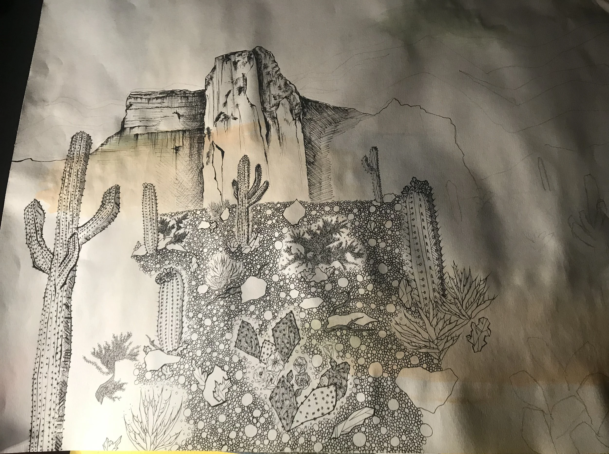 desert universe wip.JPEG