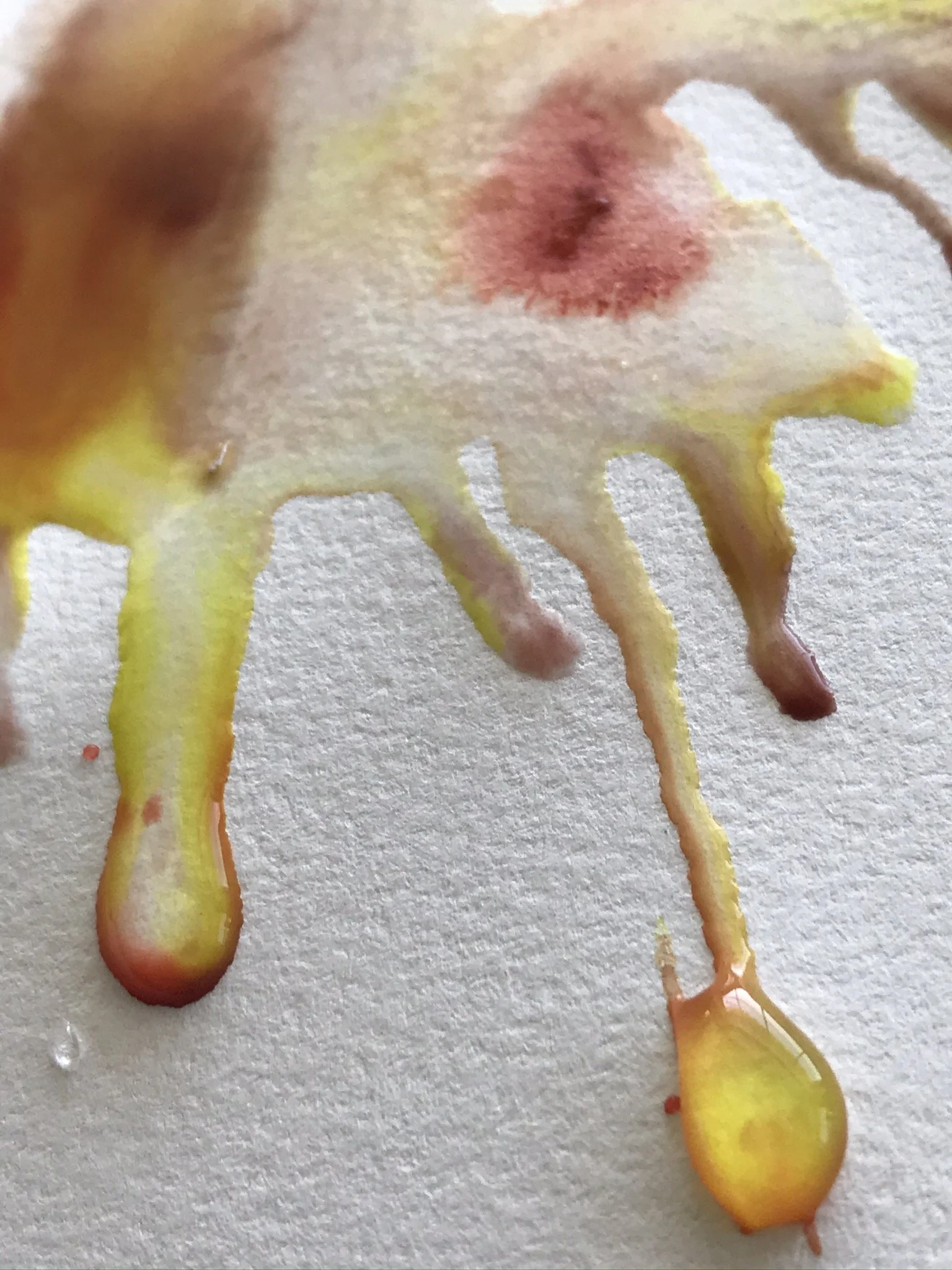 freebird watercolor detail.JPEG