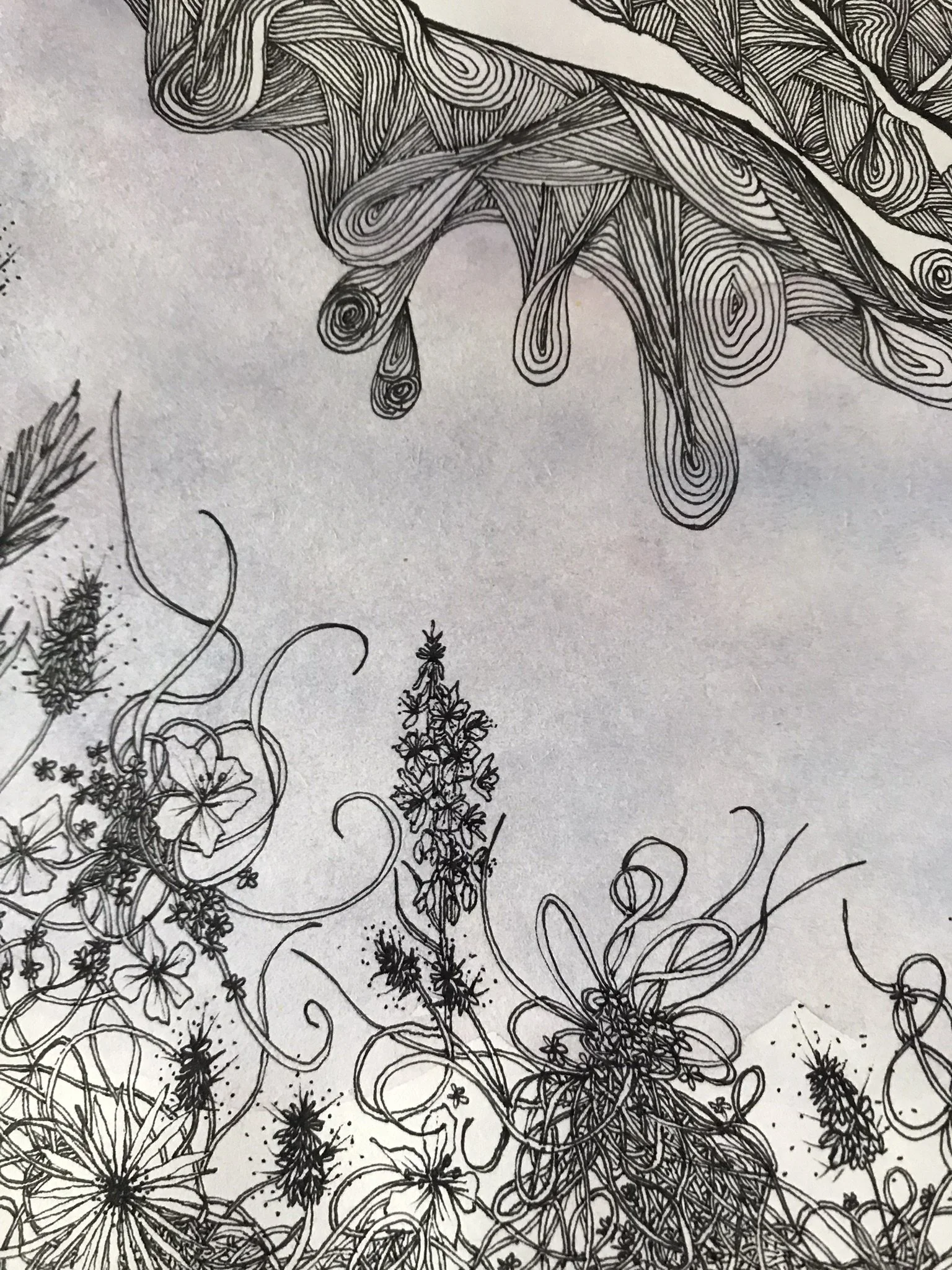 olympus details.JPEG