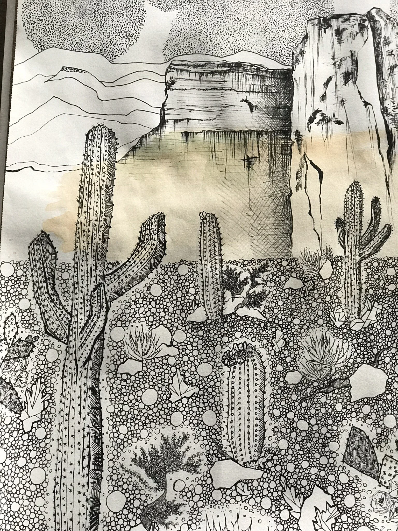 desert universe wip2.JPEG