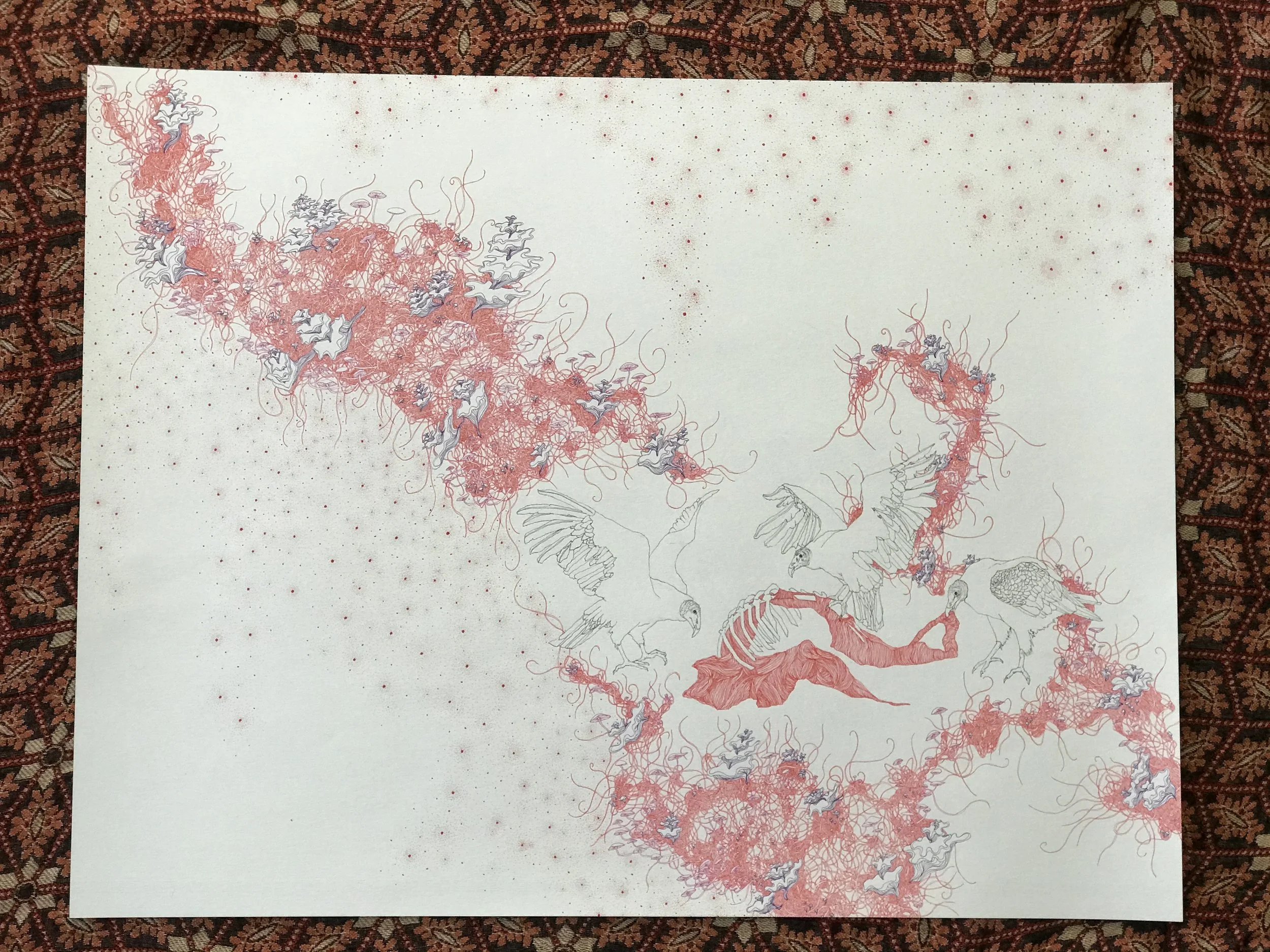 emotional carrion.JPEG