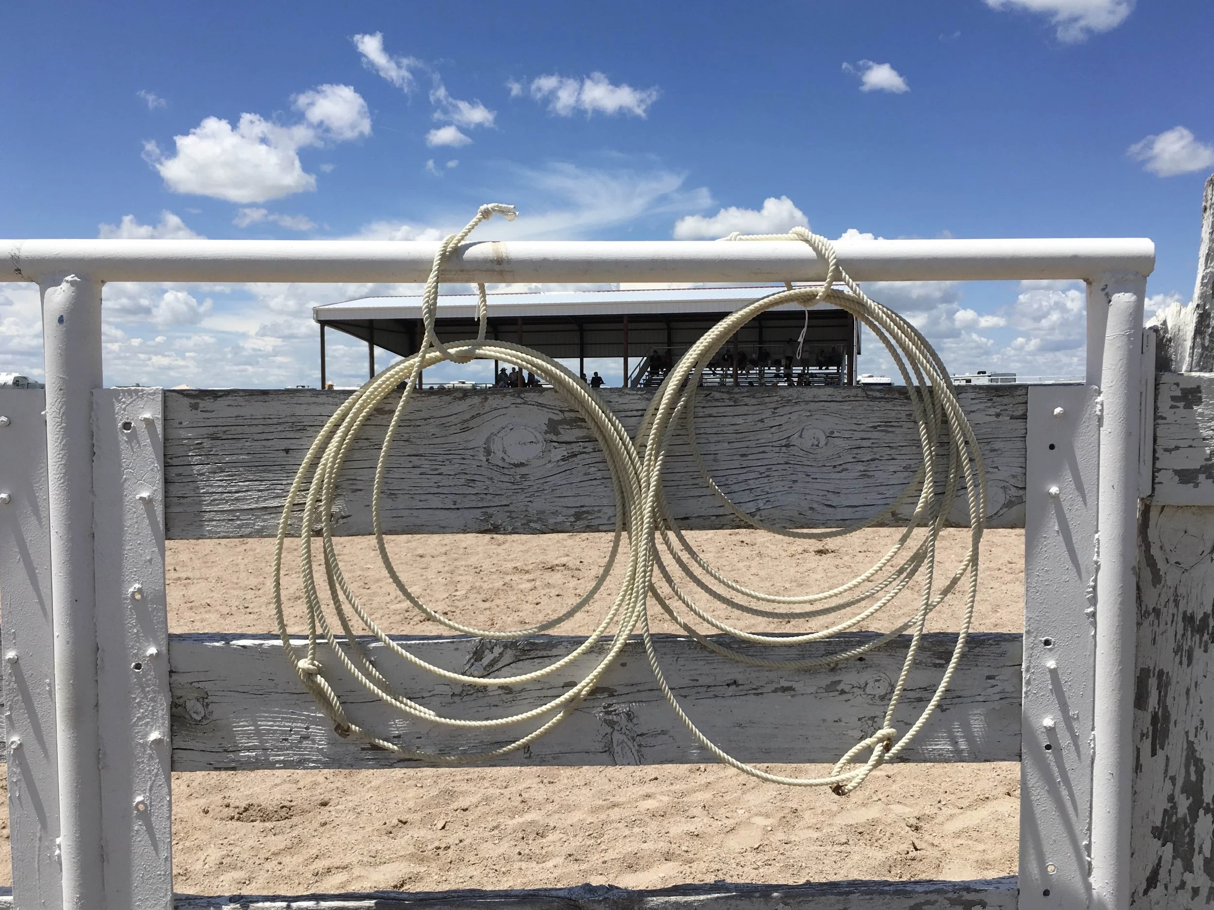 Laura_Krauss_Arena_ Ready_#2.jpeg