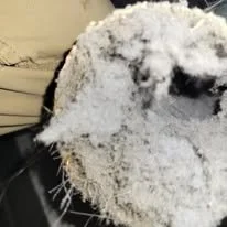 A clogged dryer vent in issaquah washington. A fire hazard. Four seasons is ready to service you in edmonds, lynnwood, redmond, bothell, kenmore, woodinville, duvall, marysville and more.