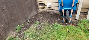 After Removal Of All Lint And other Contaminants