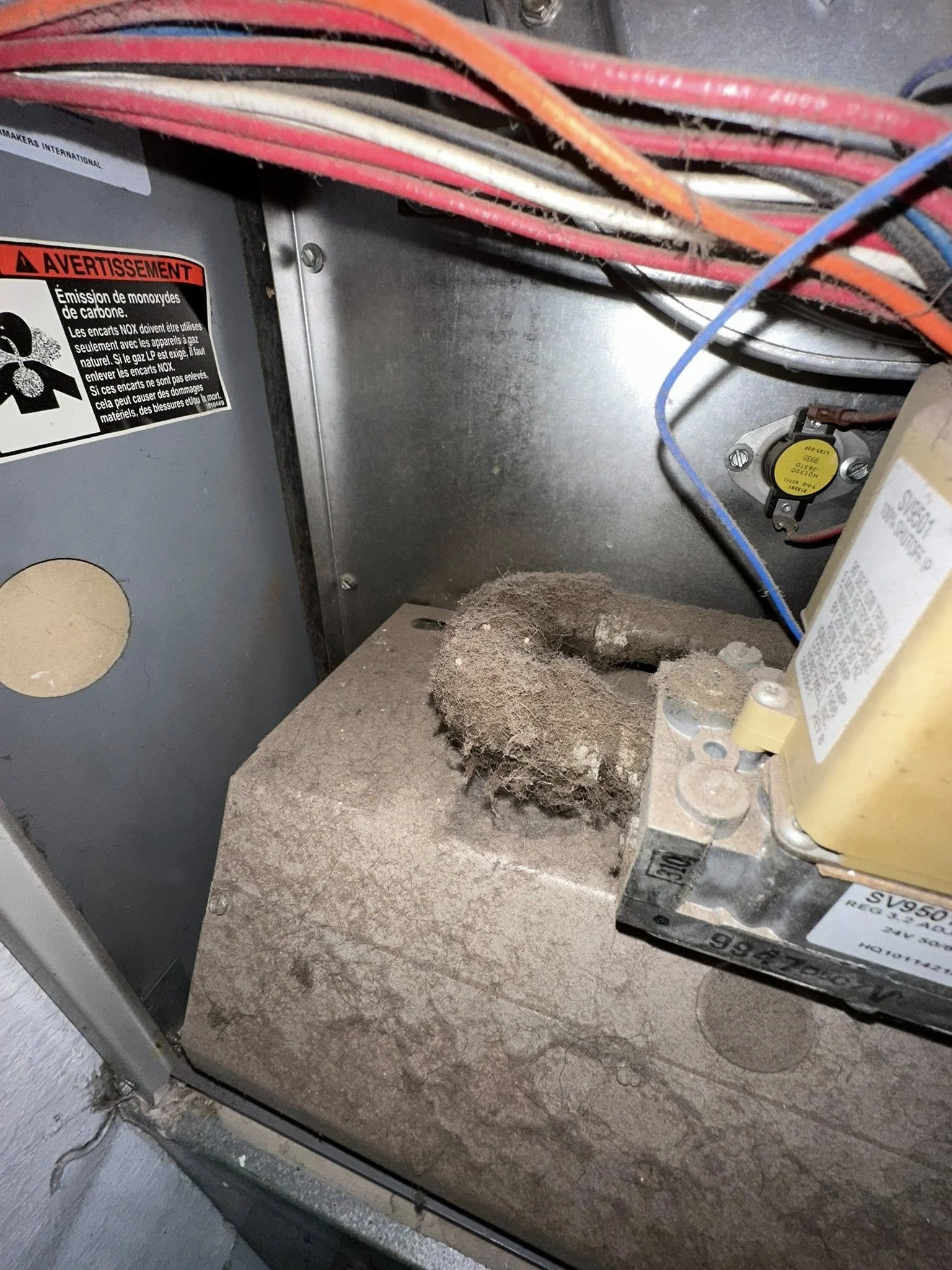 A dirty furnace before being cleaned professionally by four seasons.Ready to service Bellevue, Edmonds, Issaquah, Redmond, Lynnwood, Mountlake Terrace, Mill Creek, Bothell, Mercer Island, Brier, Kenmore, Woodinville, Duvall, Lake Stevens and Seattle.