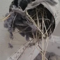 Birds nest in dryer vent in bothell washington. Ready to service Bellevue, Edmonds, Issaquah, Redmond, Lynnwood, Mountlake Terrace, Mill Creek, Bothell, Mercer Island, Brier, Kenmore, Woodinville, Duvall, Lake Stevens and Seattle.