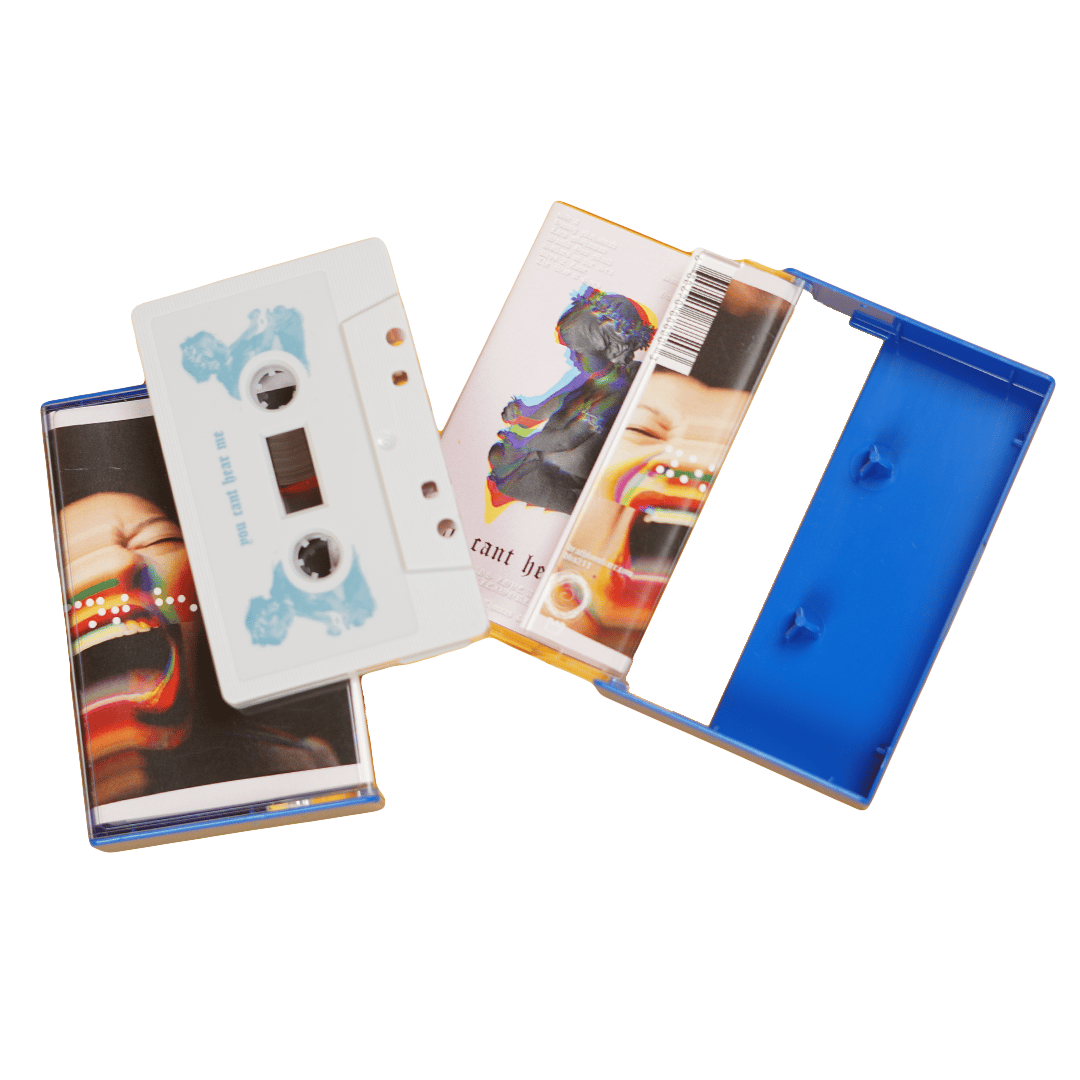 YOU CANT SEE ME-SHADI