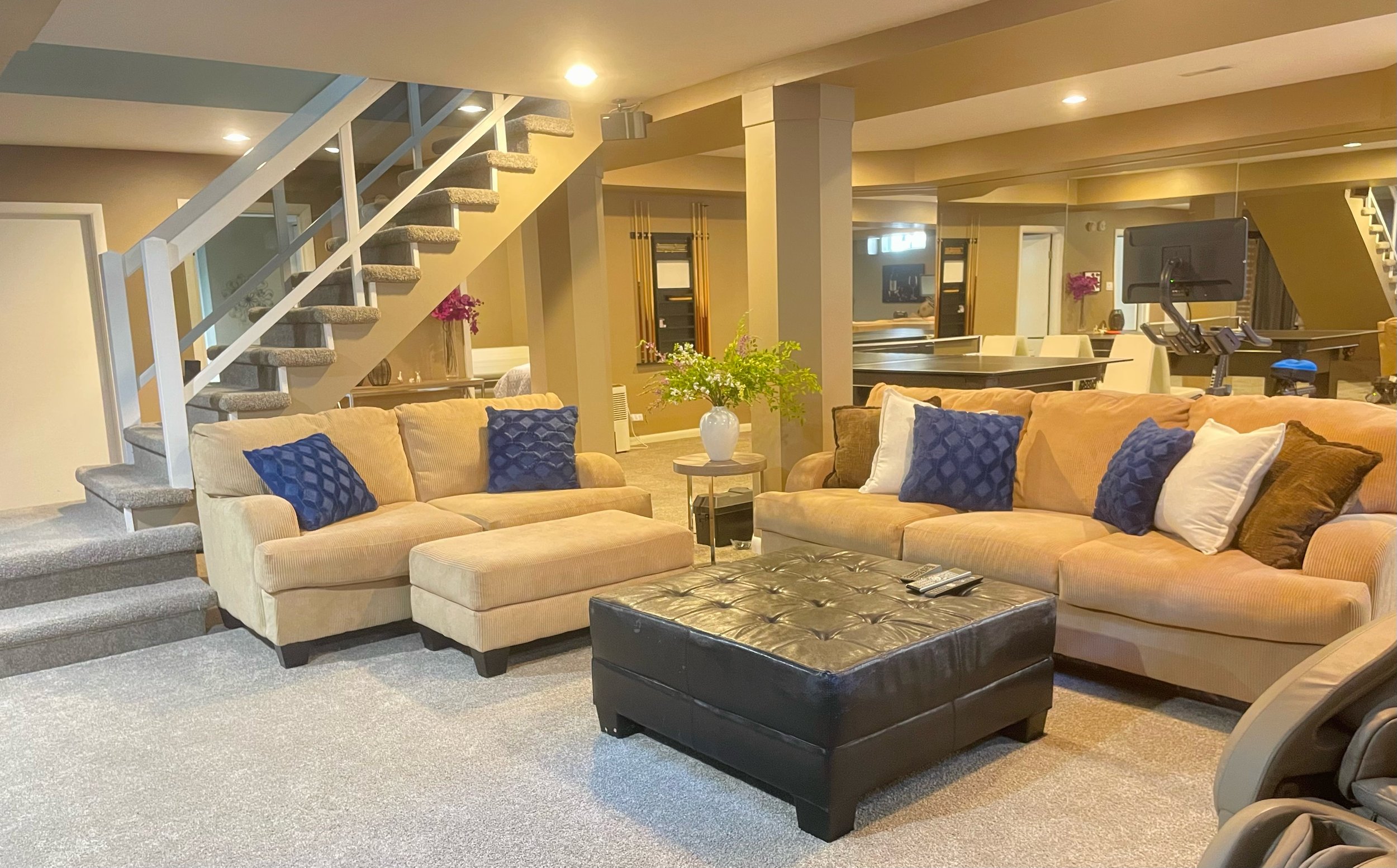 Living Area Basement