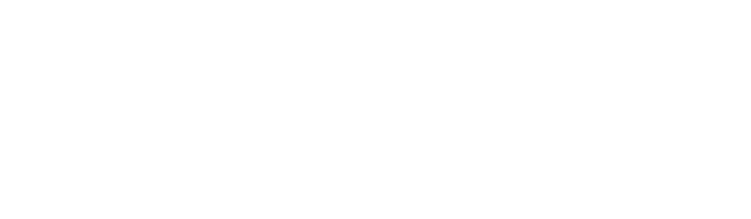 Statment Insurance Agency
