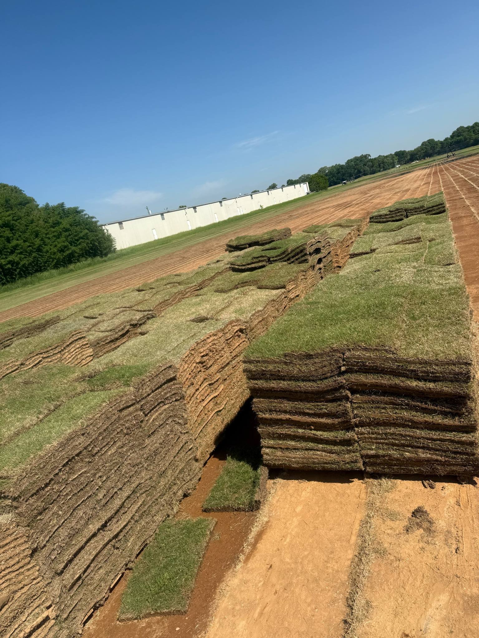BERMUDA SOD TRANSPORT ONLY