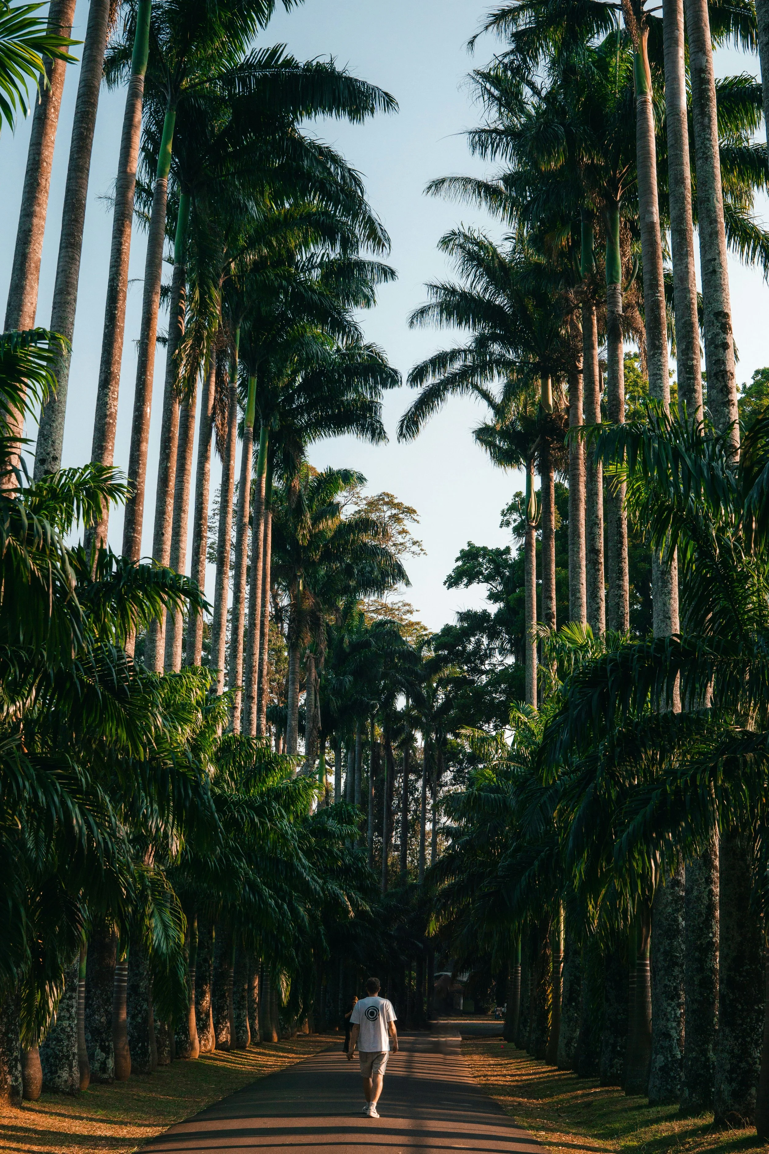 Sunlight streams through a large arched wooden front door into a hallway with tiled flooring, a spiral staircase with a black wrought iron railing, and a window with visible tree branches outside.