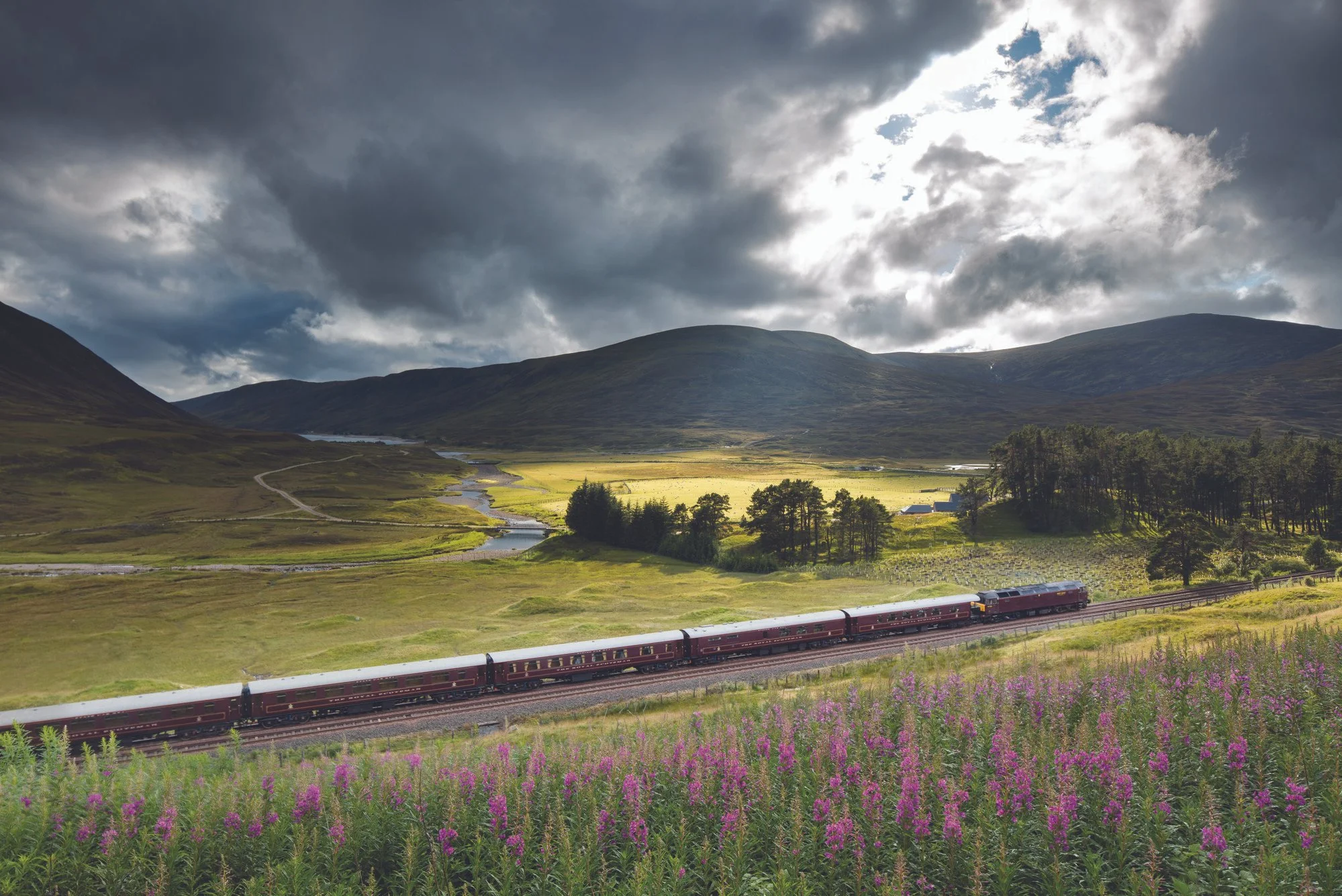 A scenic landscape with a train passing through lush green fields, mountains in the background, and purple wildflowers in the foreground under a cloudy sky.