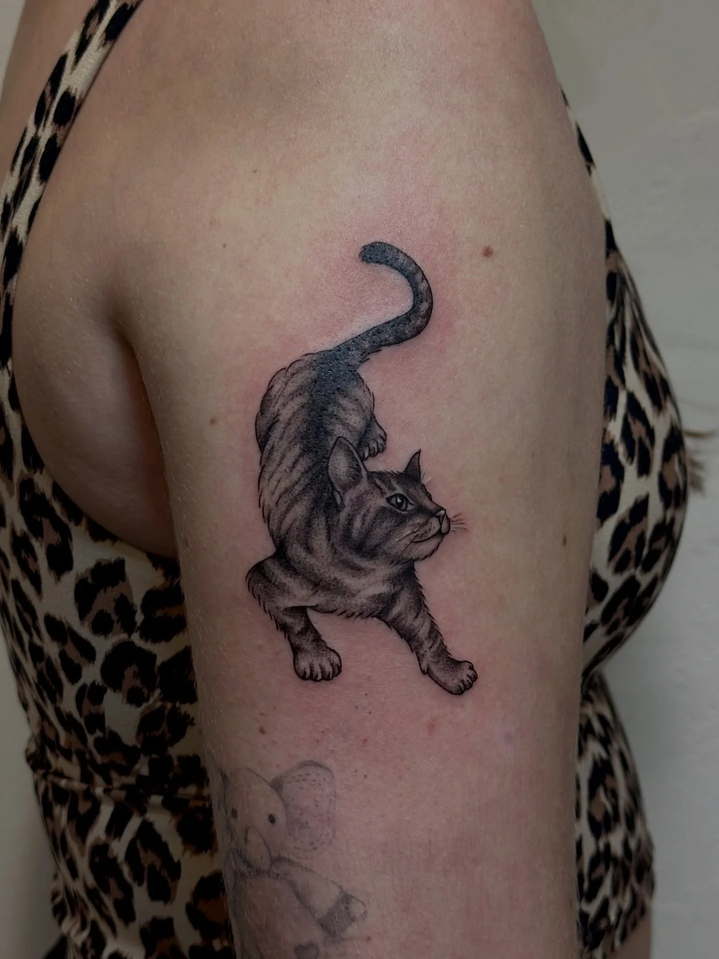 the cutest little cat tatt! thank you Sierra❤️ sooo who&rsquo;s got some pets i can tattoo👀