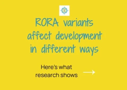 Today is Rare Disease Day 2026.

RORA-related variants affect development in different ways. Research shows individuals may experience:

&bull; Later developmental milestones
&bull; Learning and social differences
&bull; Epilepsy (about 50%)
&bull; B